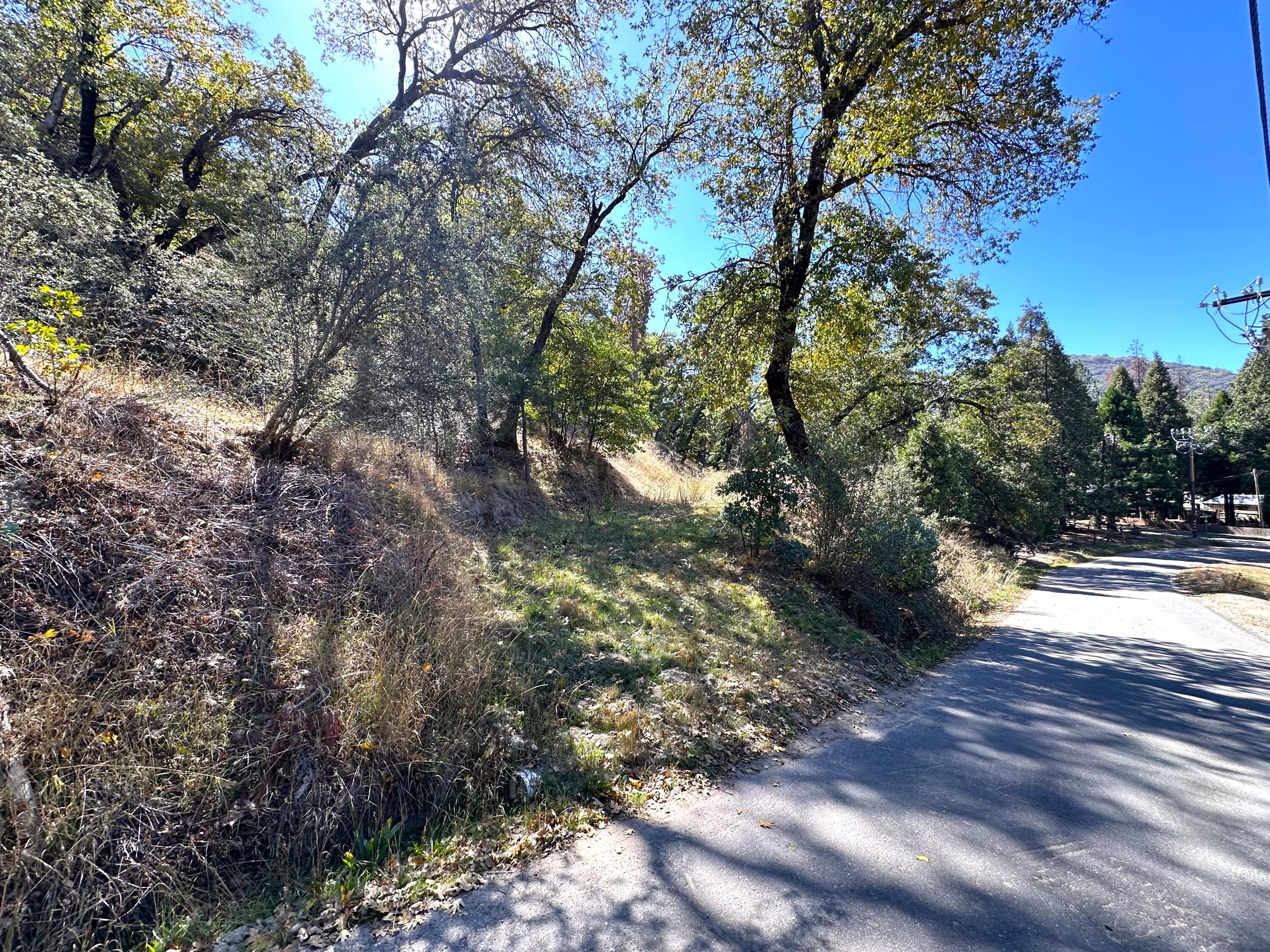 Lot 1 Manter Meadow Dr, California Hot Springs, CA 93207