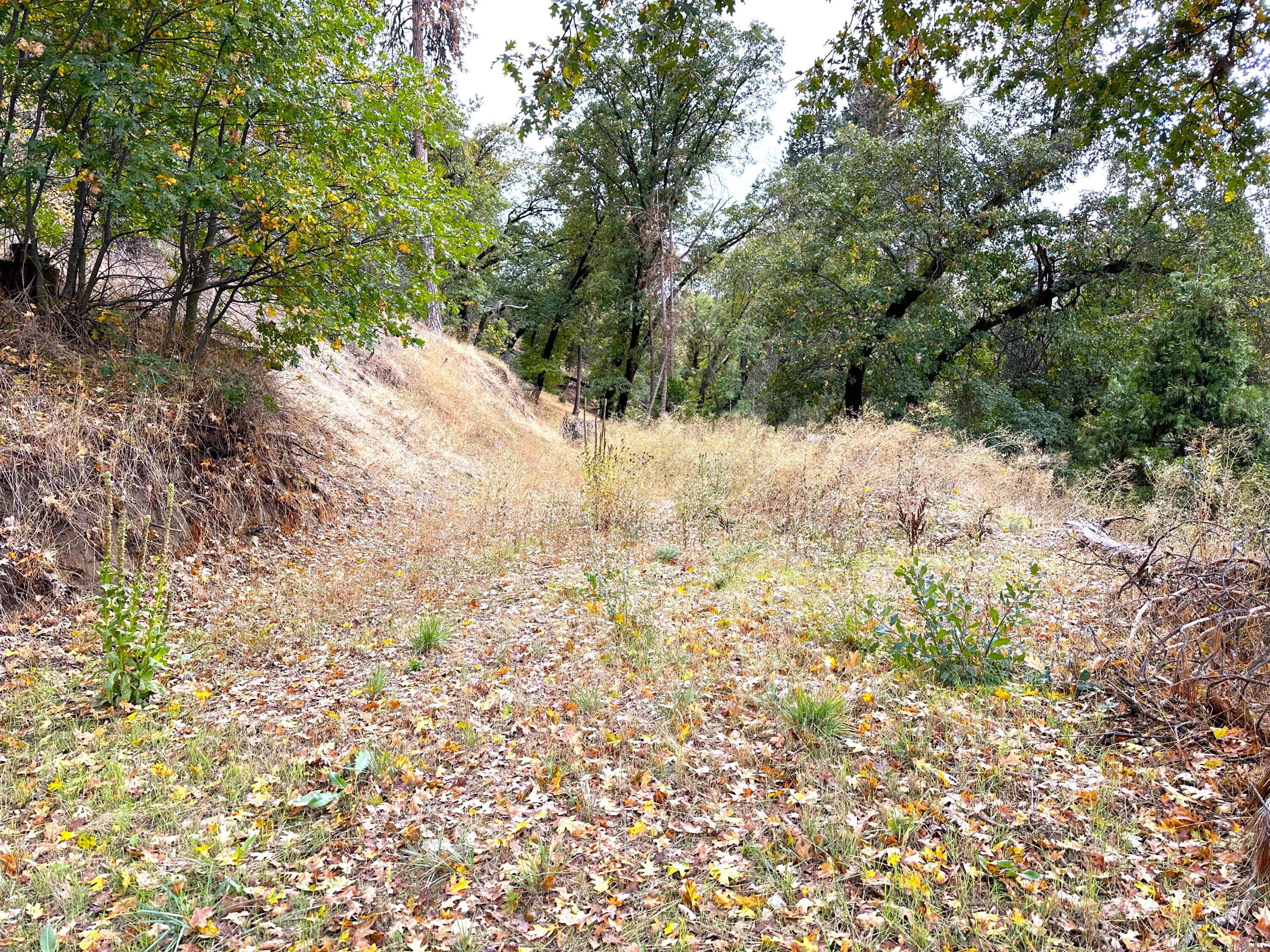 Lot 1 Manter Meadow Dr, California Hot Springs, CA 93207