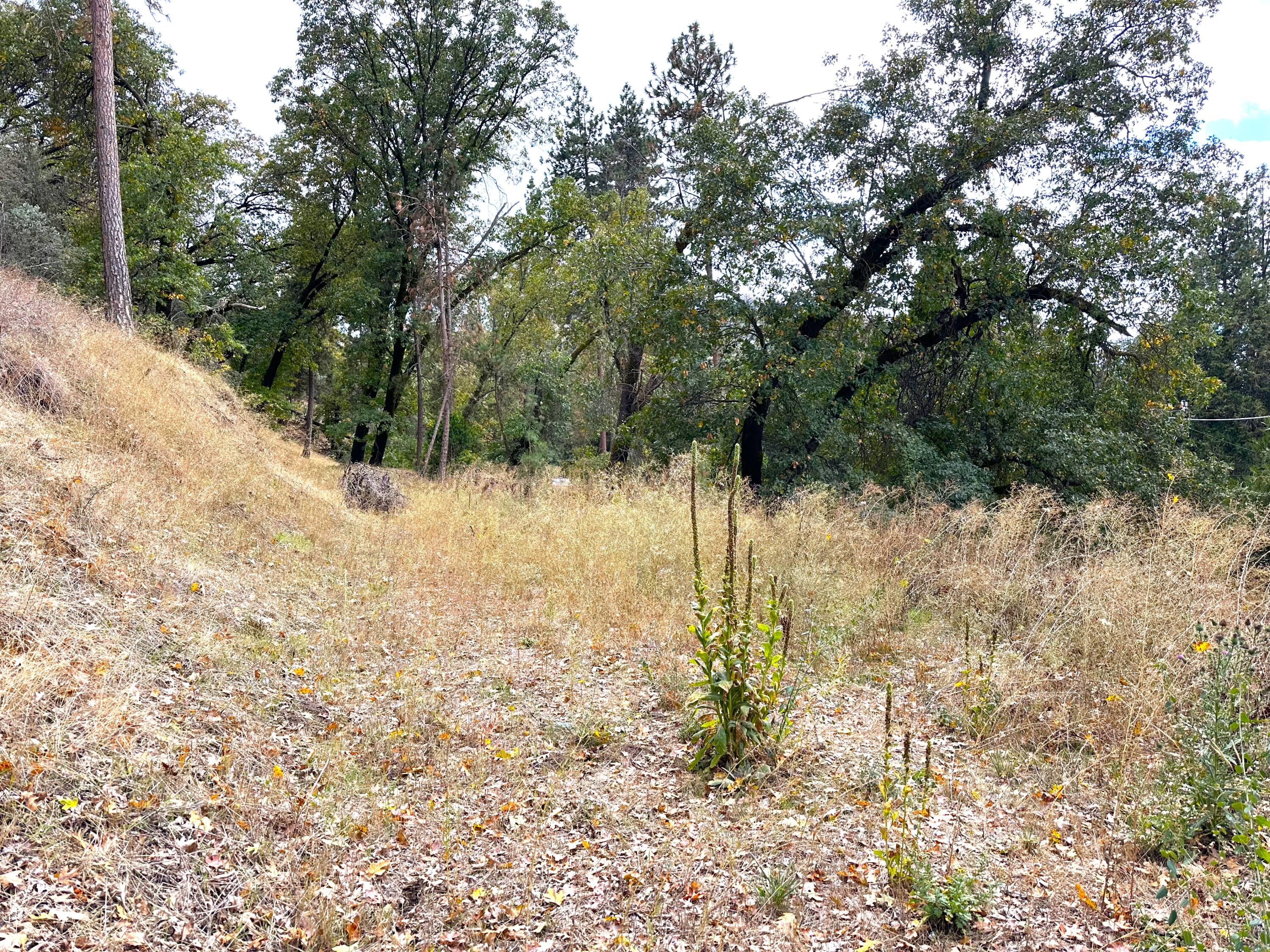 Lot 1 Manter Meadow Dr, California Hot Springs, CA 93207