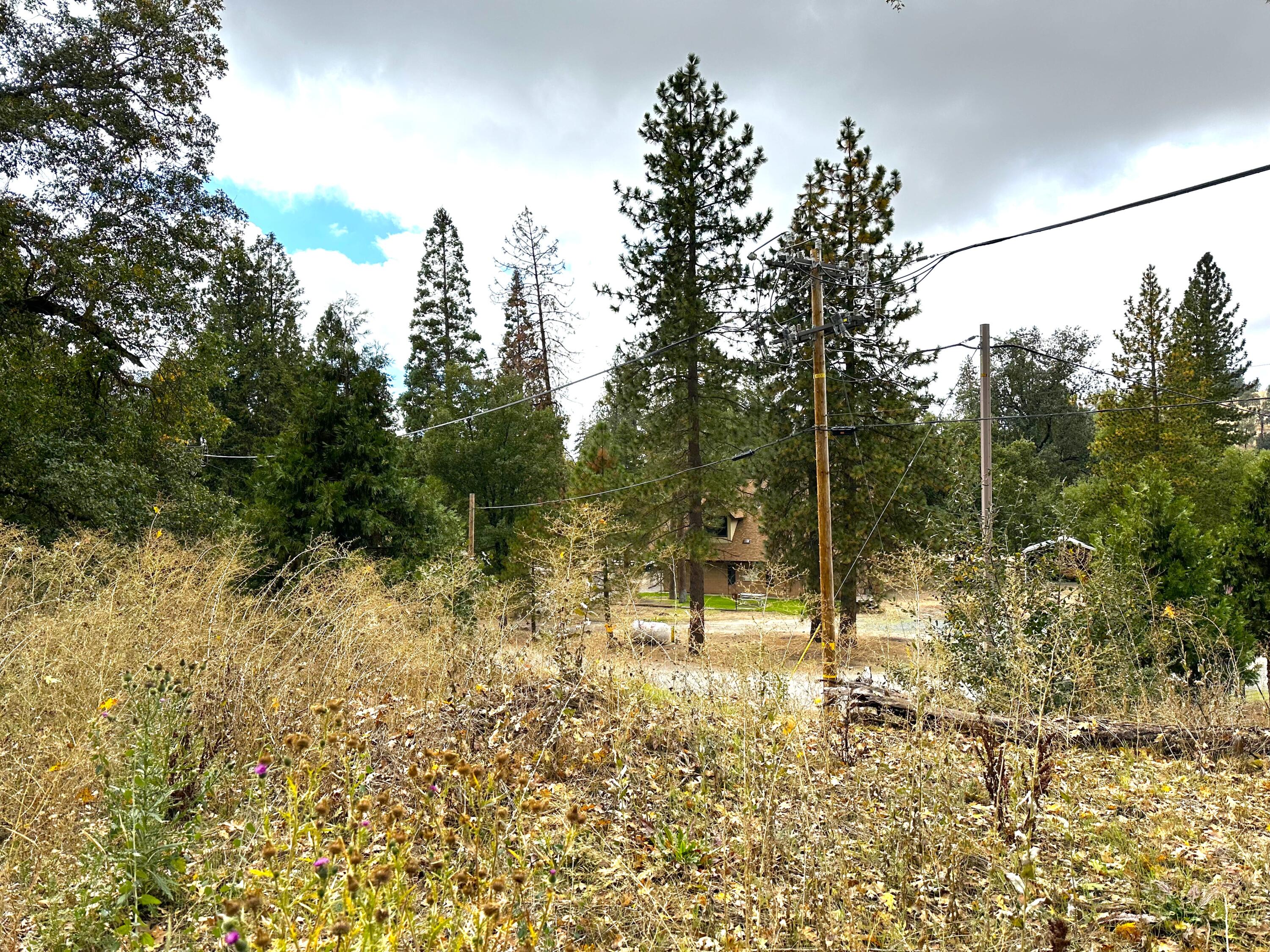 Lot 1 Manter Meadow Dr, California Hot Springs, CA 93207