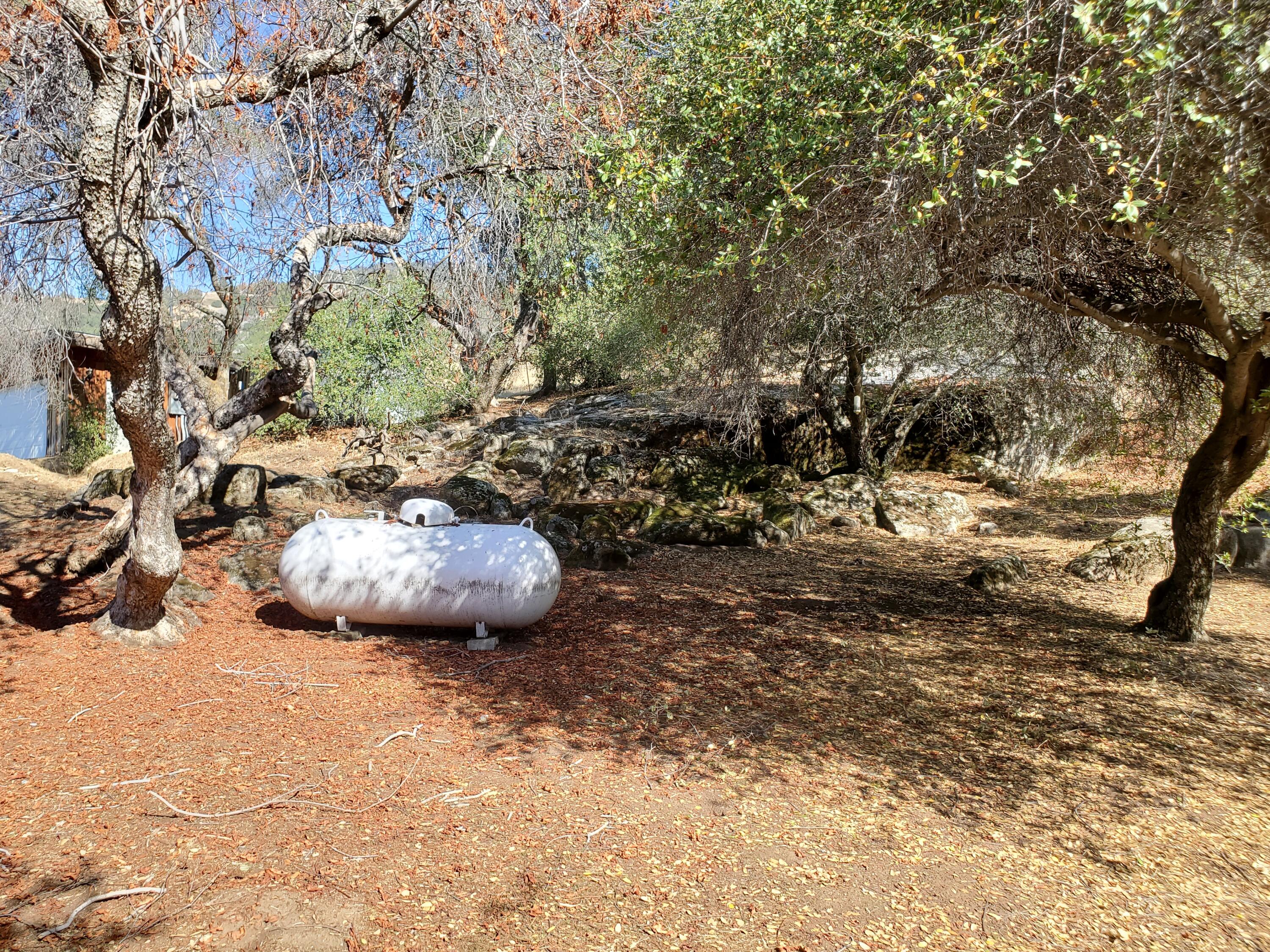 42555 Bear Creek Rd, Springville, CA 93265