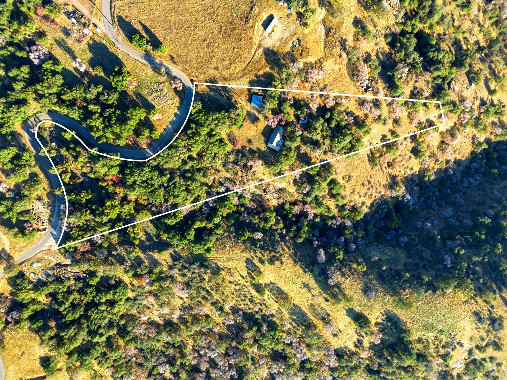 42555 Bear Creek Rd, Springville, CA 93265