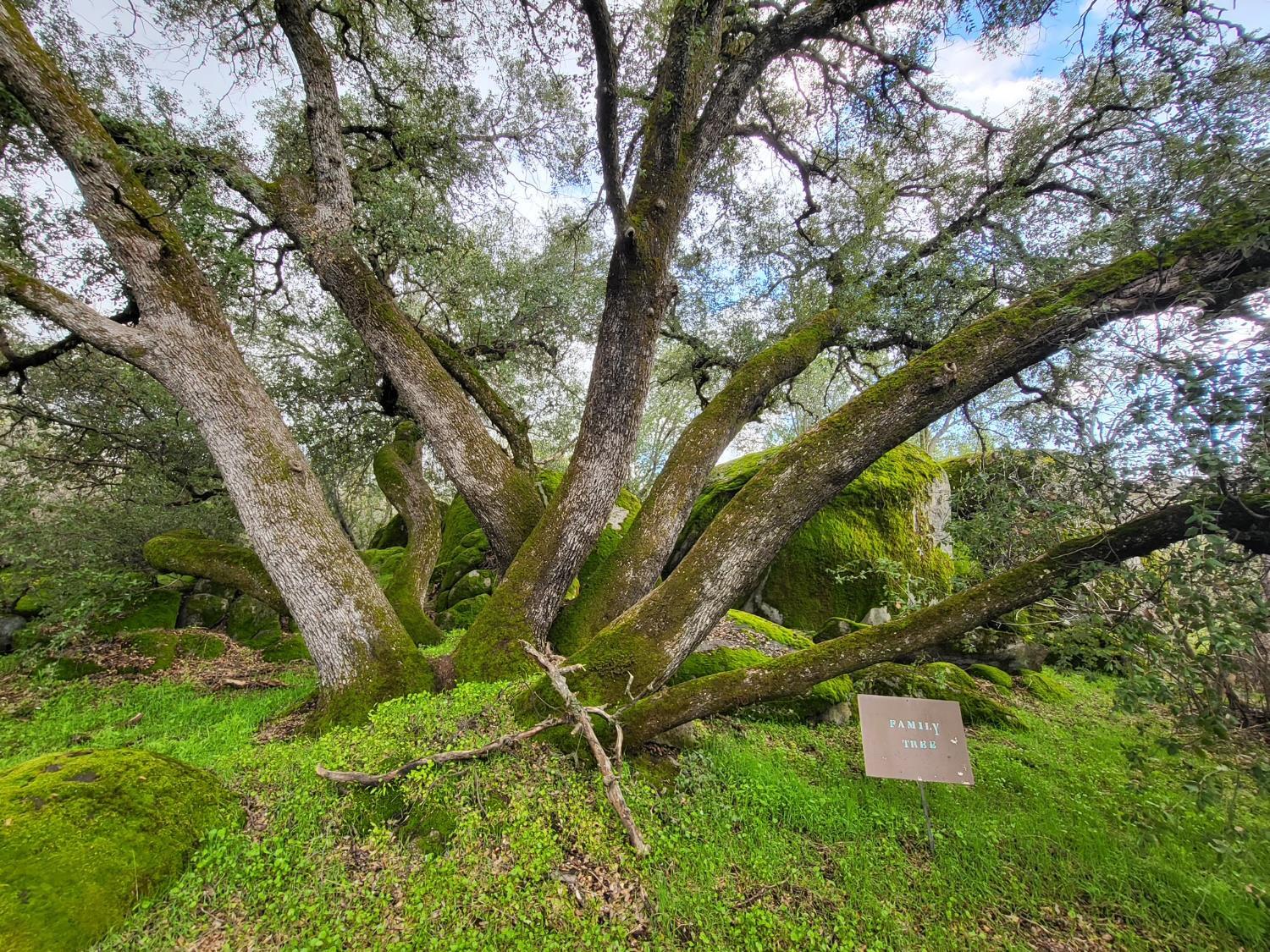 44001 Dunlap Rd, Yokuts Valley, CA 93675