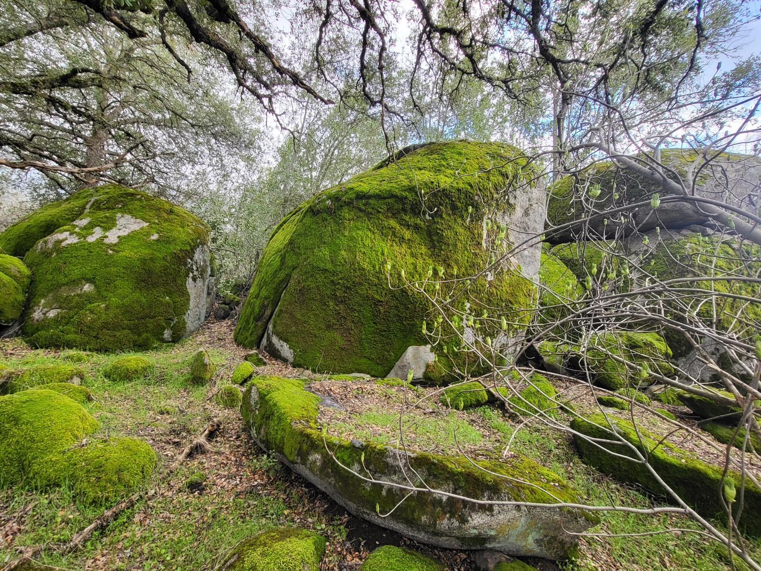 44001 Dunlap Rd, Yokuts Valley, CA 93675