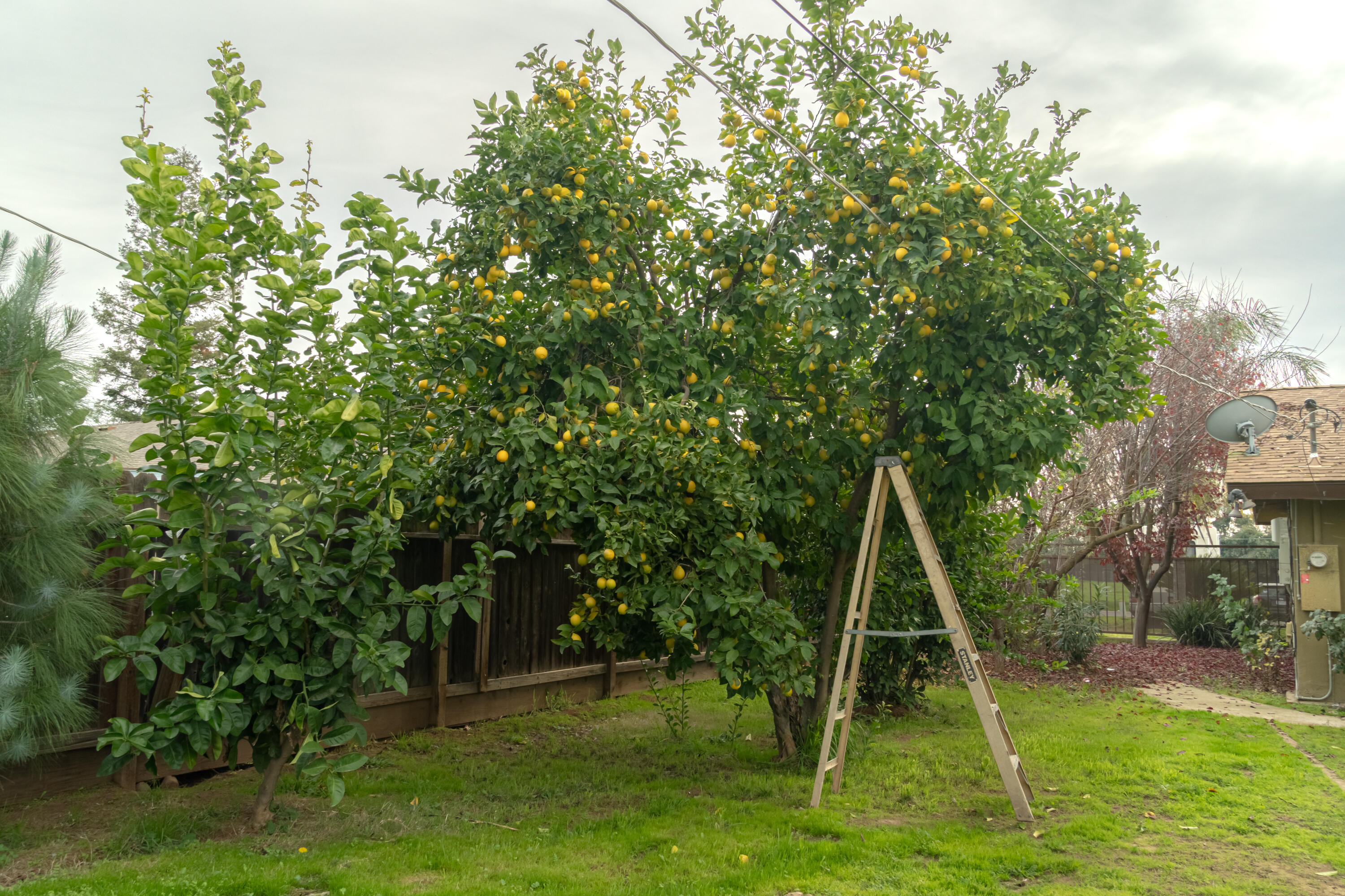 26955 Fonda Ave, Madera, CA 93638