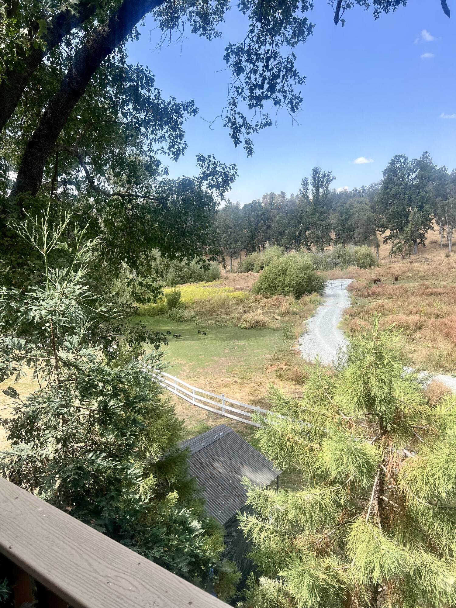 45288 Manter Meadow Rd, California Hot Springs, CA 93207