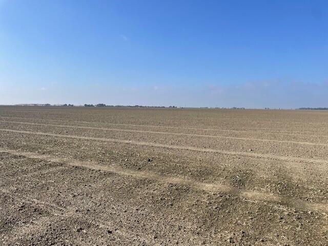 0 Rd 56, Tulare, CA 93274