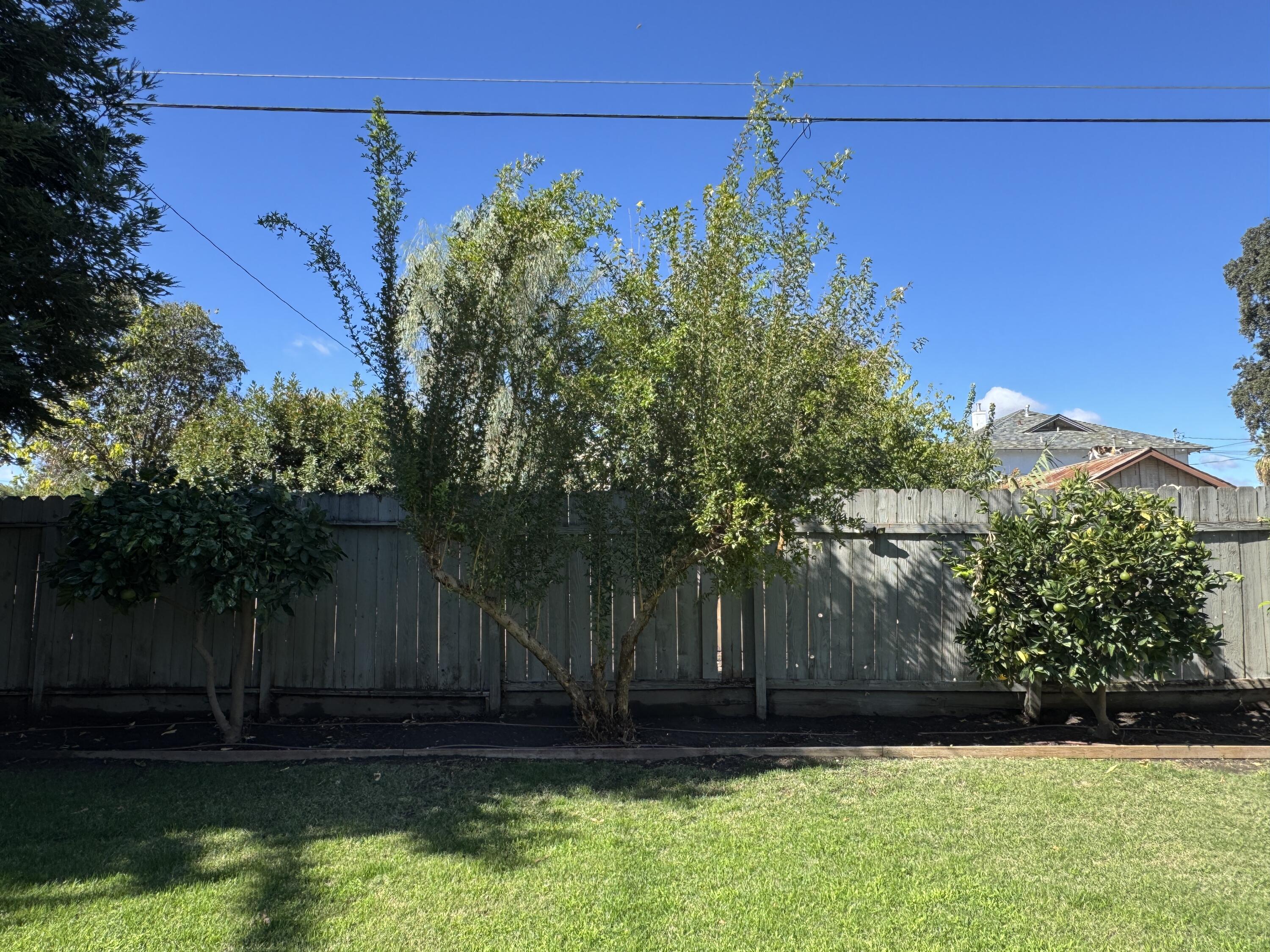 523 N Locust St, Visalia, CA 93291