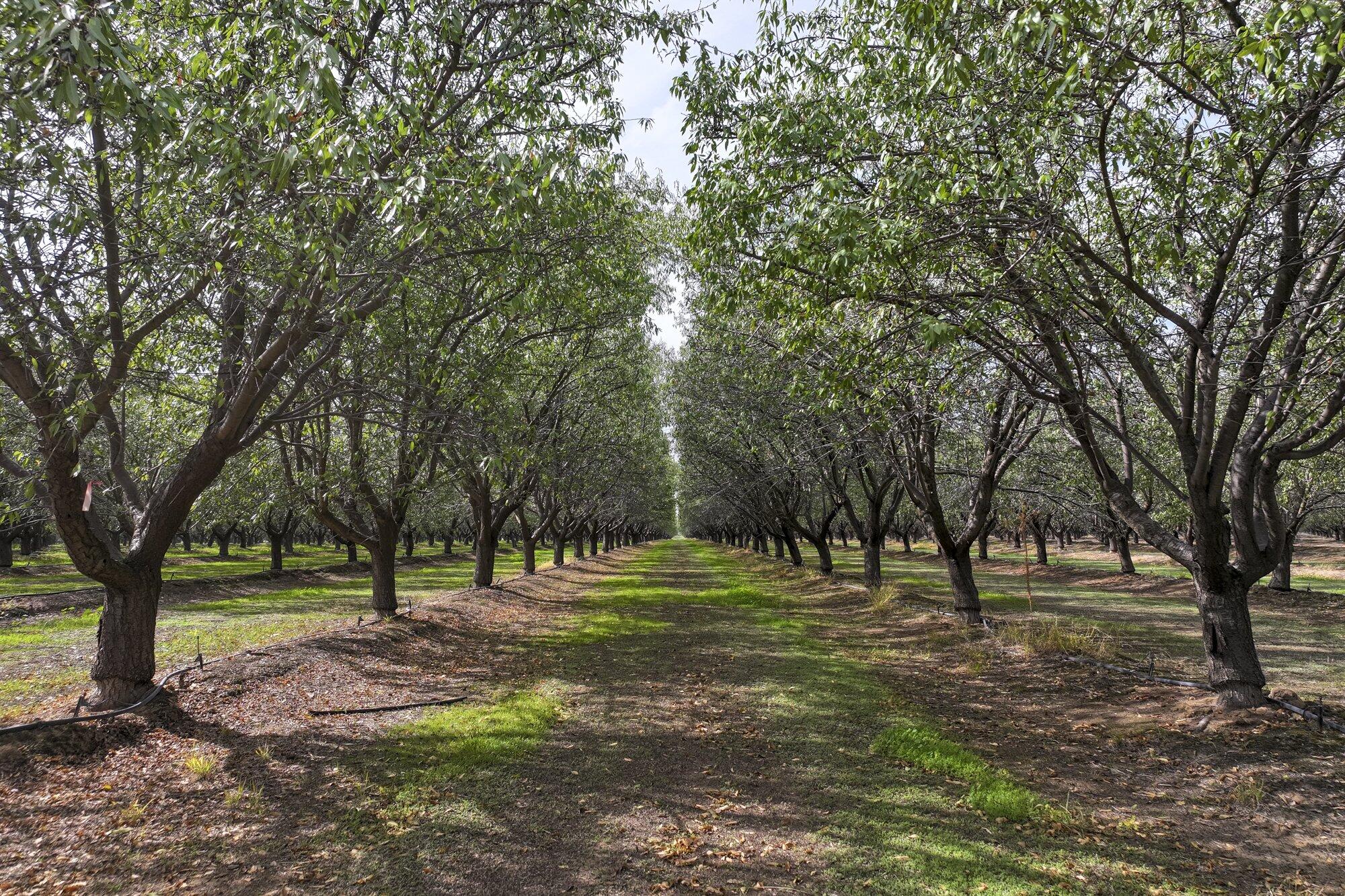 0 Kyte Rd, Delano, CA 93215