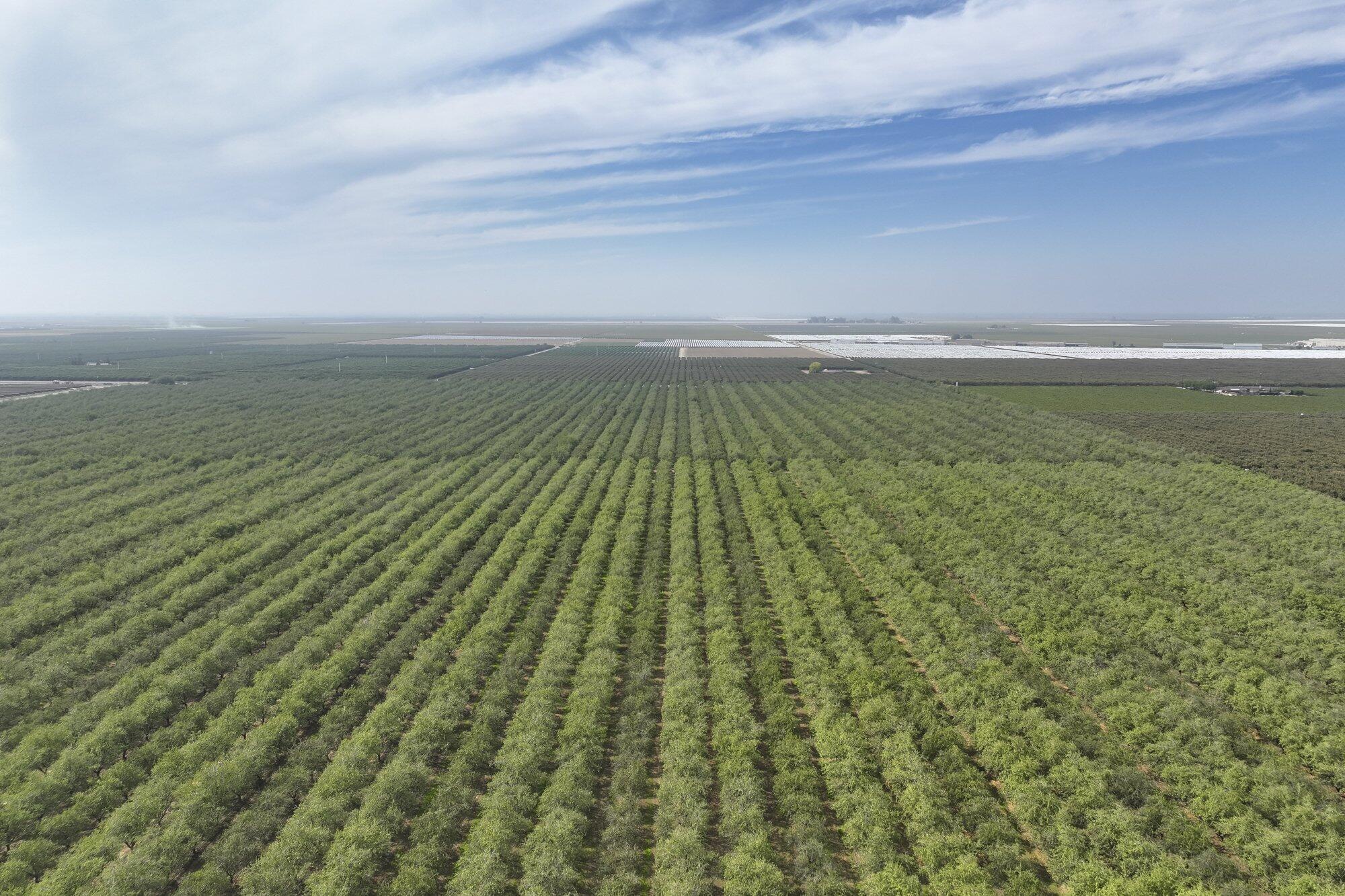 0 Kyte Rd, Delano, CA 93215