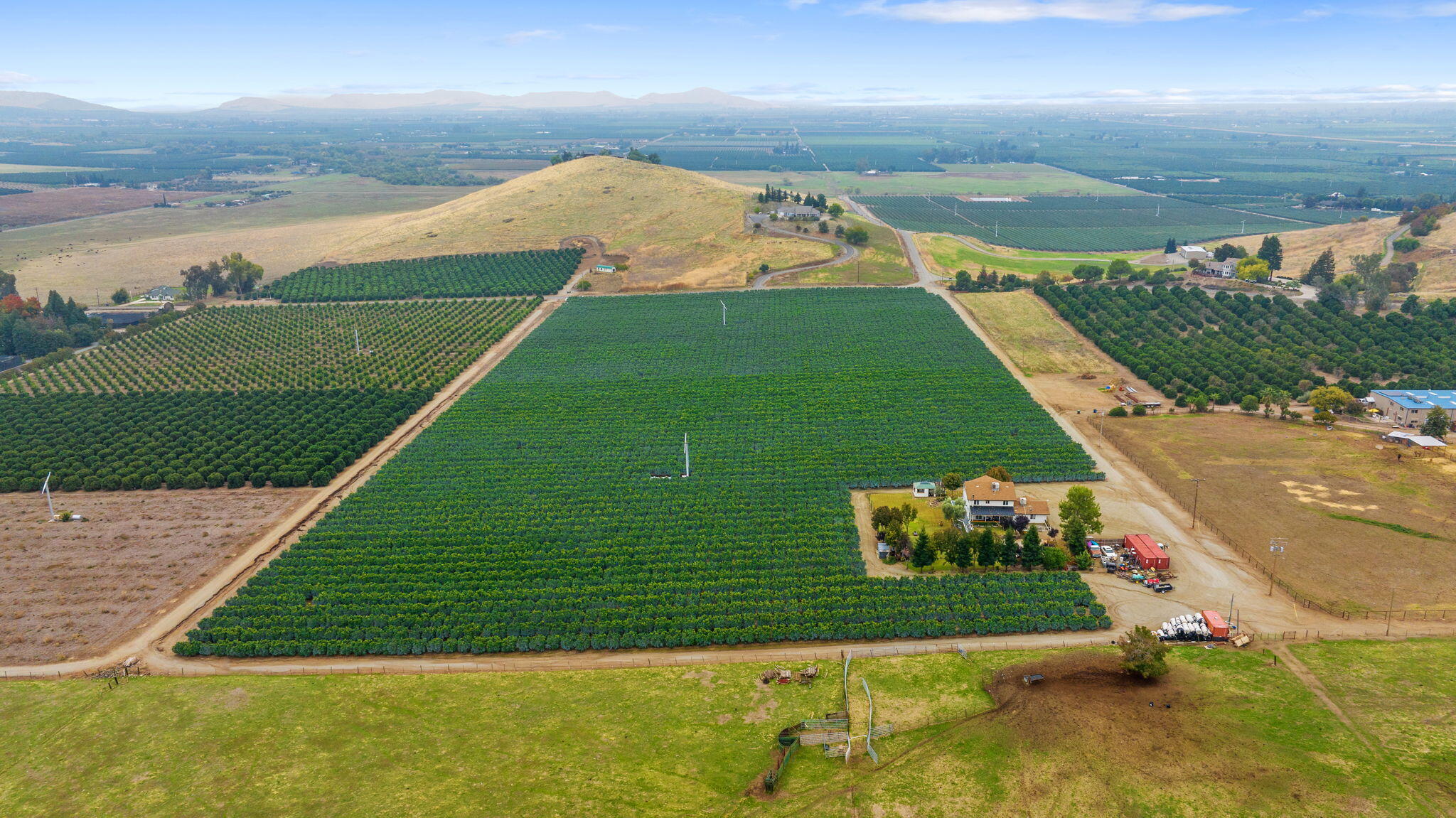 23166 Rd 238, Lindsay, CA 93247