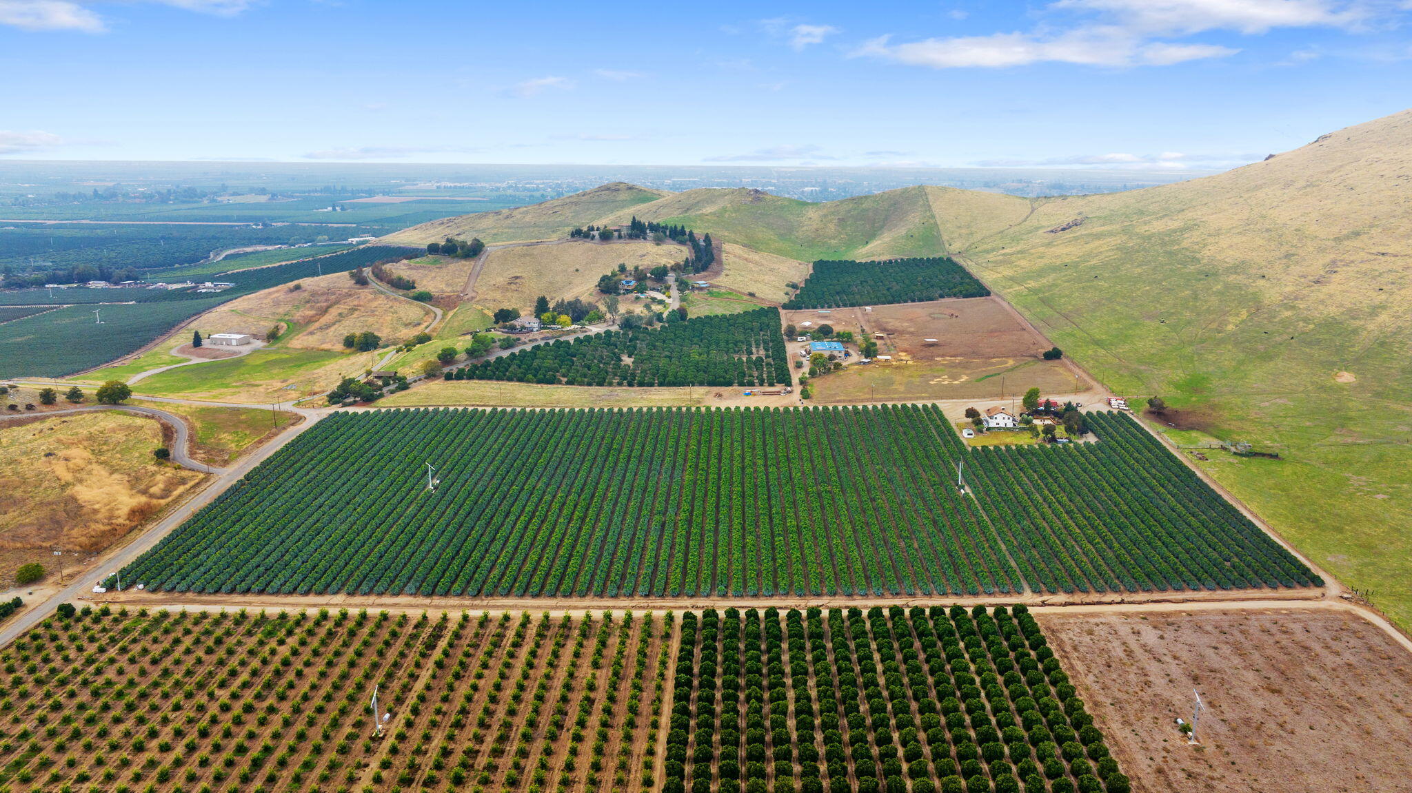 23166 Rd 238, Lindsay, CA 93247