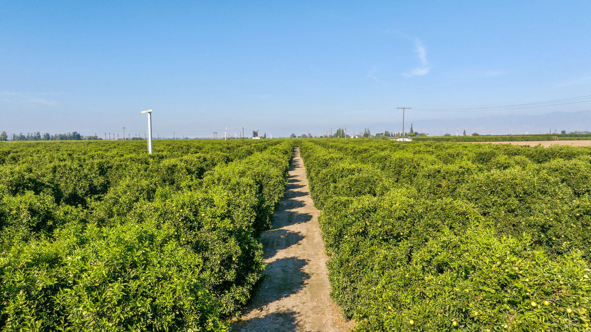 1435 E Palm Dr, Exeter, CA 93221