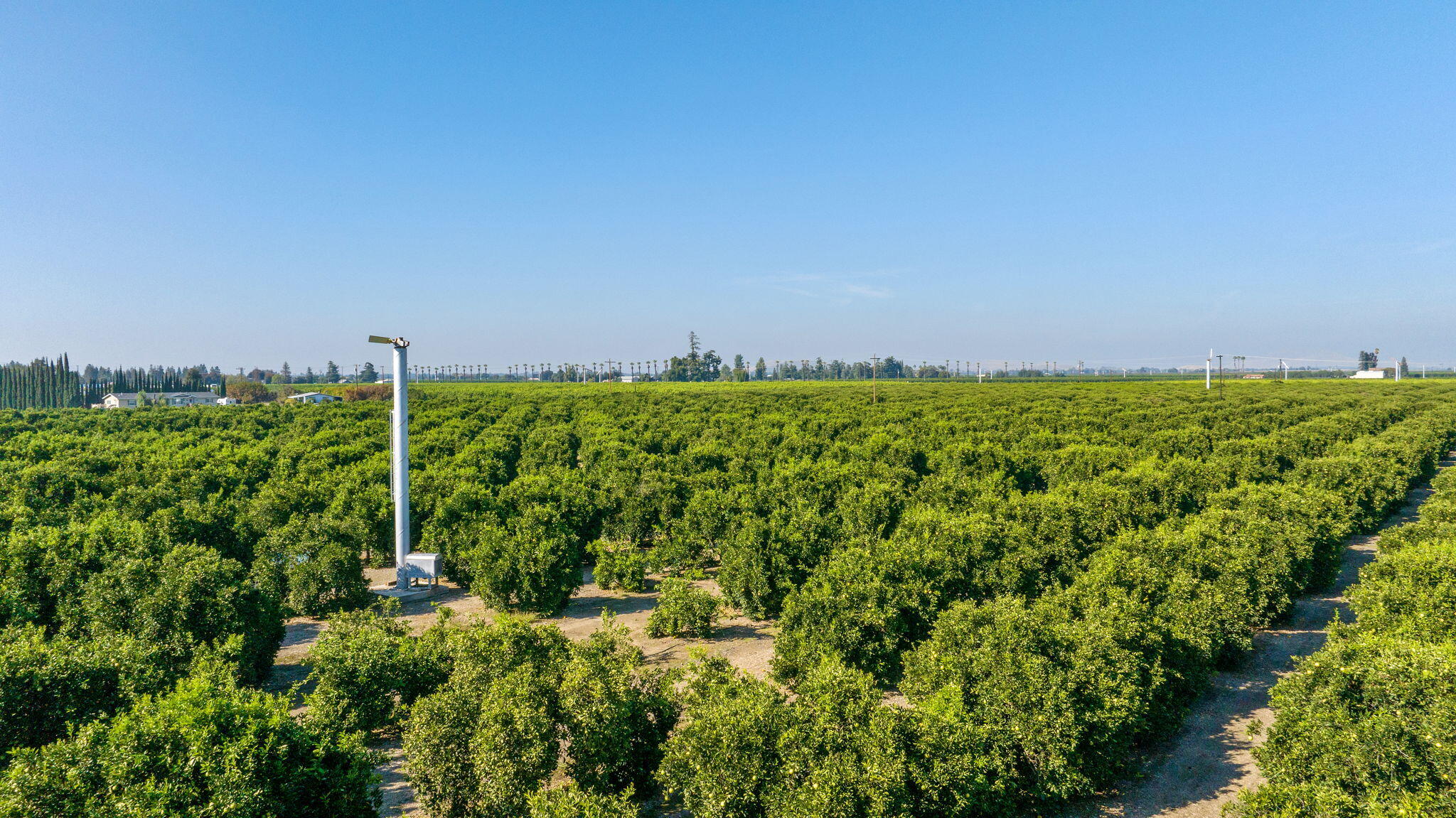 1435 E Palm Dr, Exeter, CA 93221