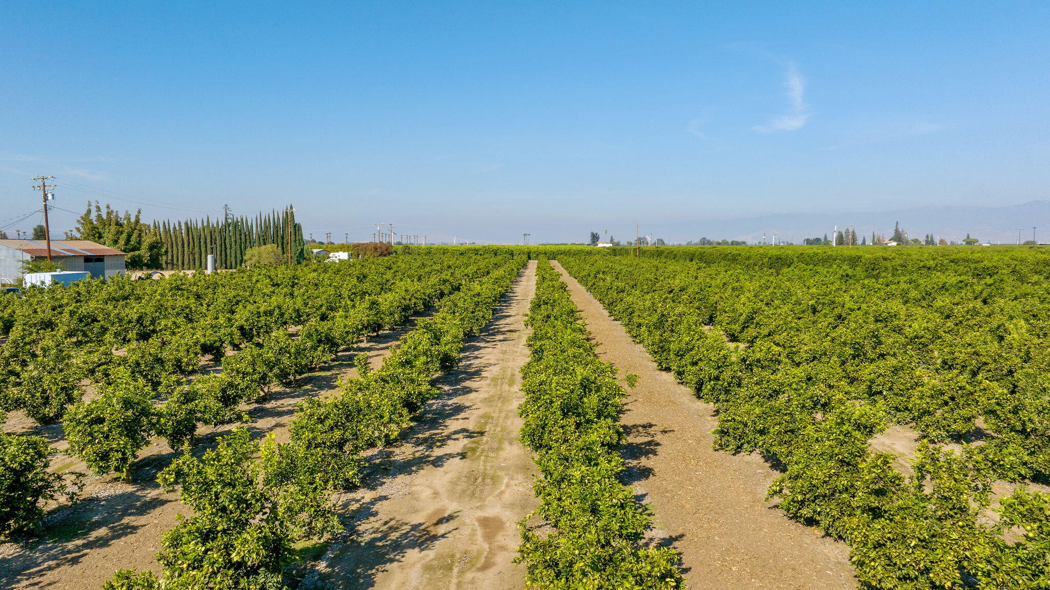 1435 E Palm Dr, Exeter, CA 93221