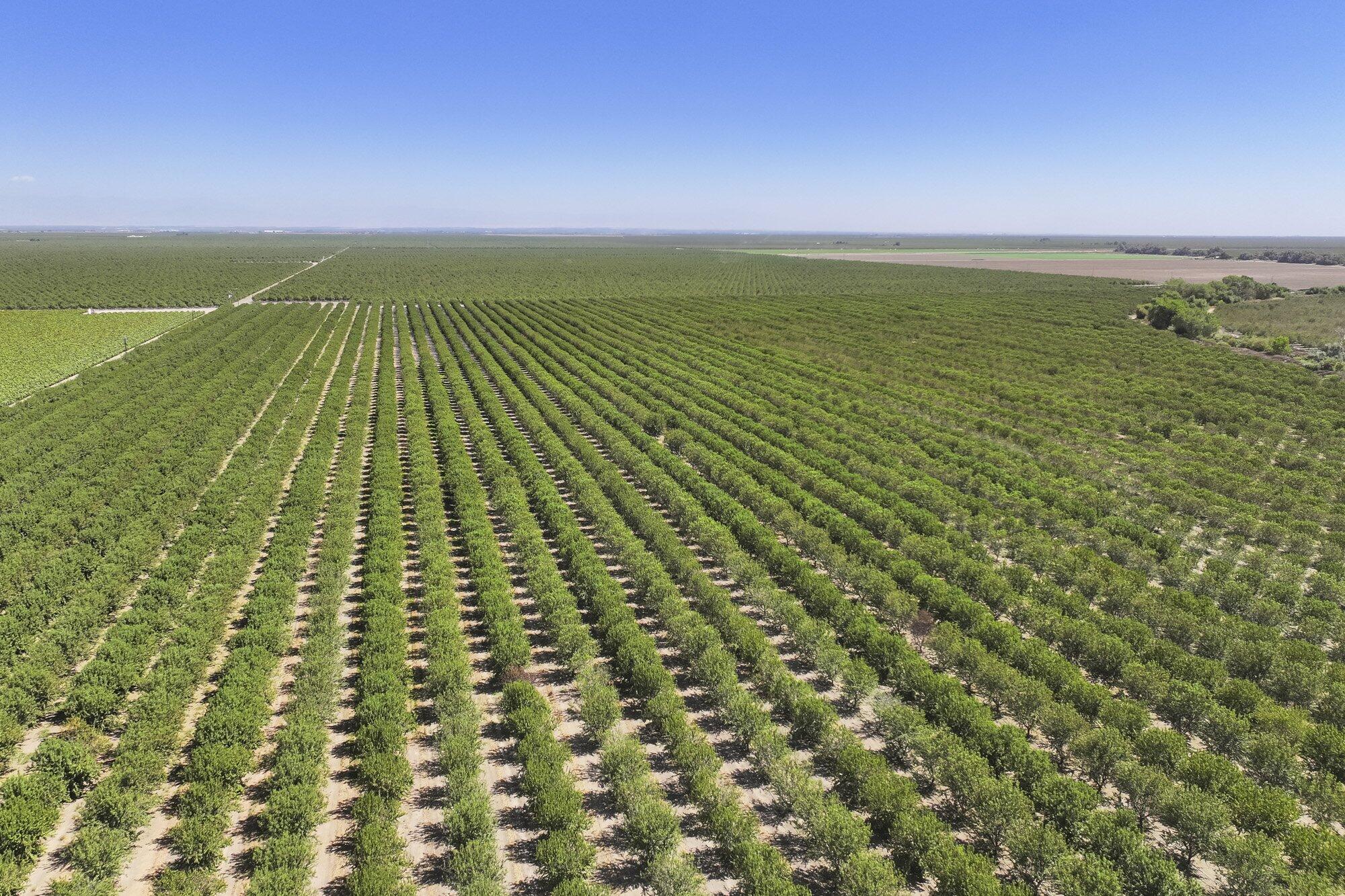 0 Palm Ave, Wasco, CA 93280