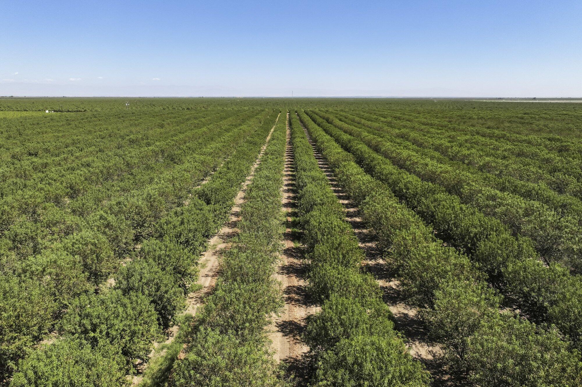 0 Palm Ave, Wasco, CA 93280