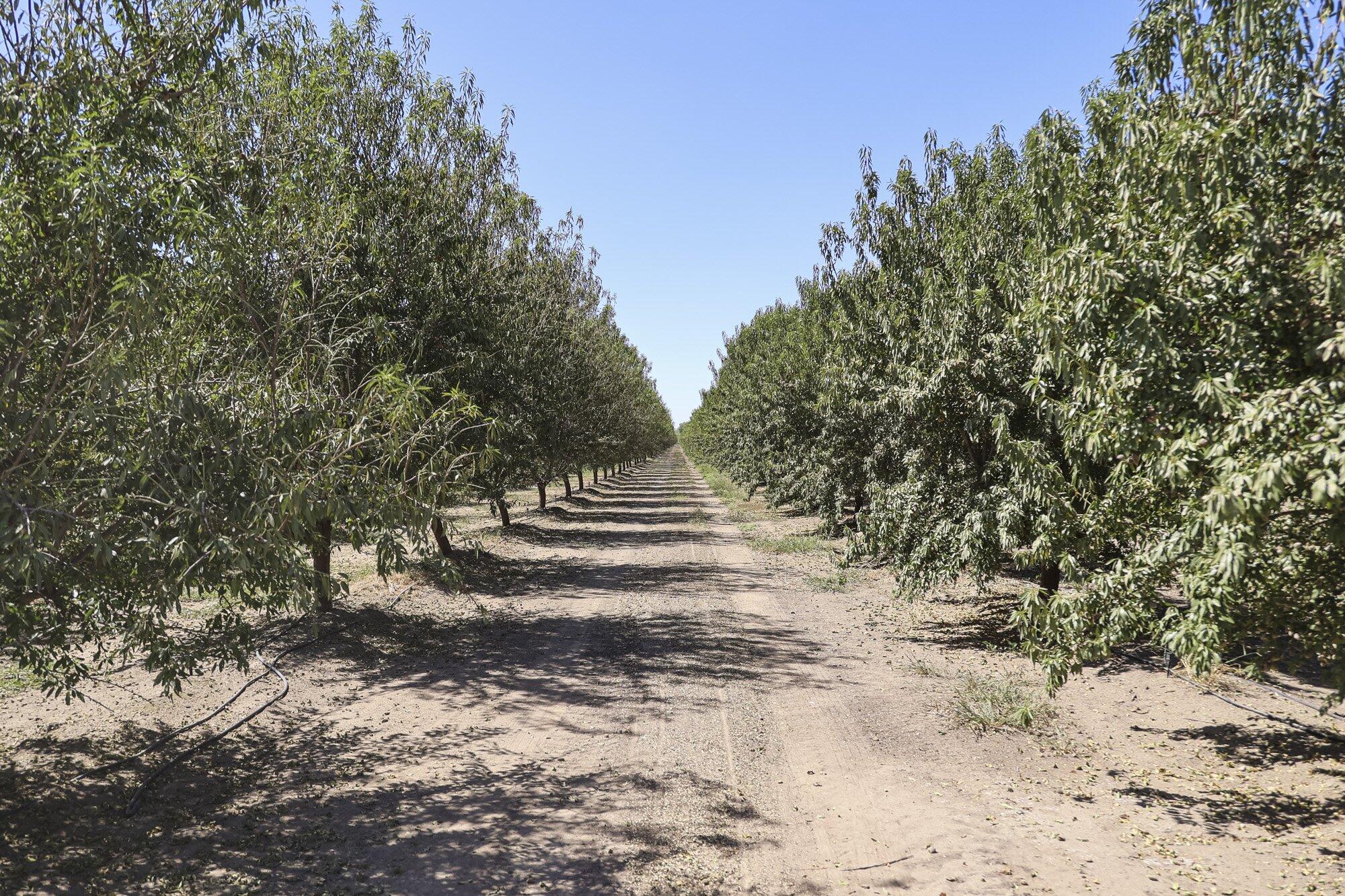 0 Palm Ave, Wasco, CA 93280