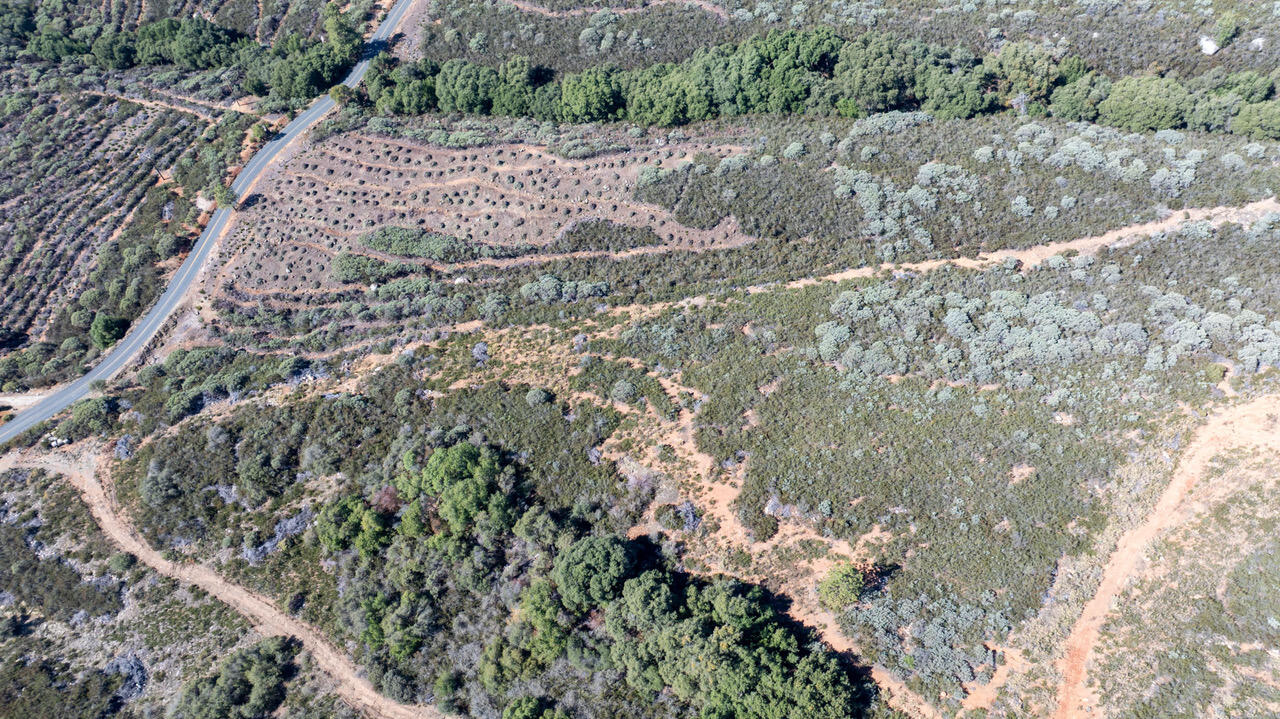 0 Blue Ridge Dr, Springville, CA 93265