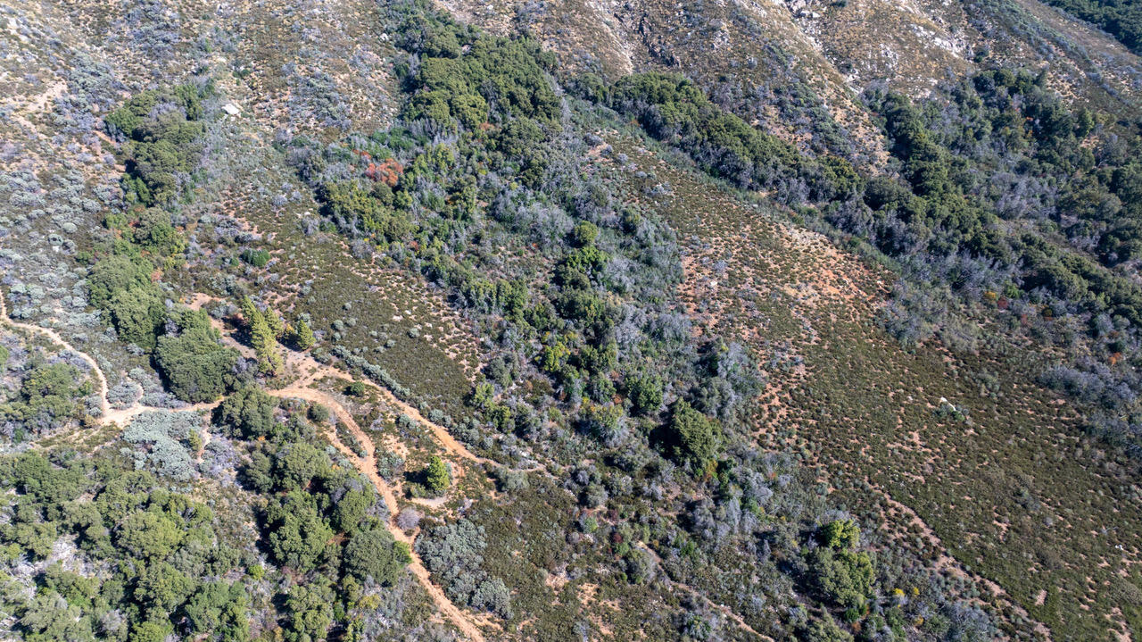 0 Blue Ridge Dr, Springville, CA 93265