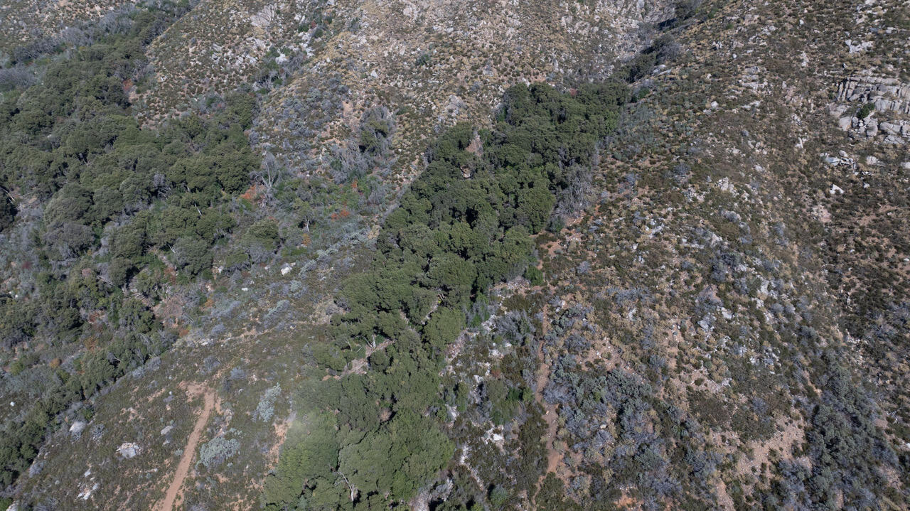 0 Blue Ridge Dr, Springville, CA 93265