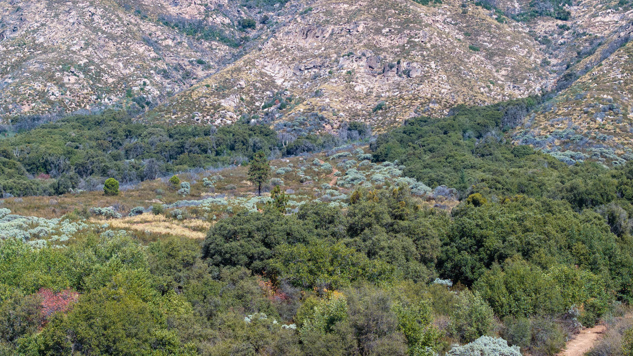 0 Blue Ridge Dr, Springville, CA 93265