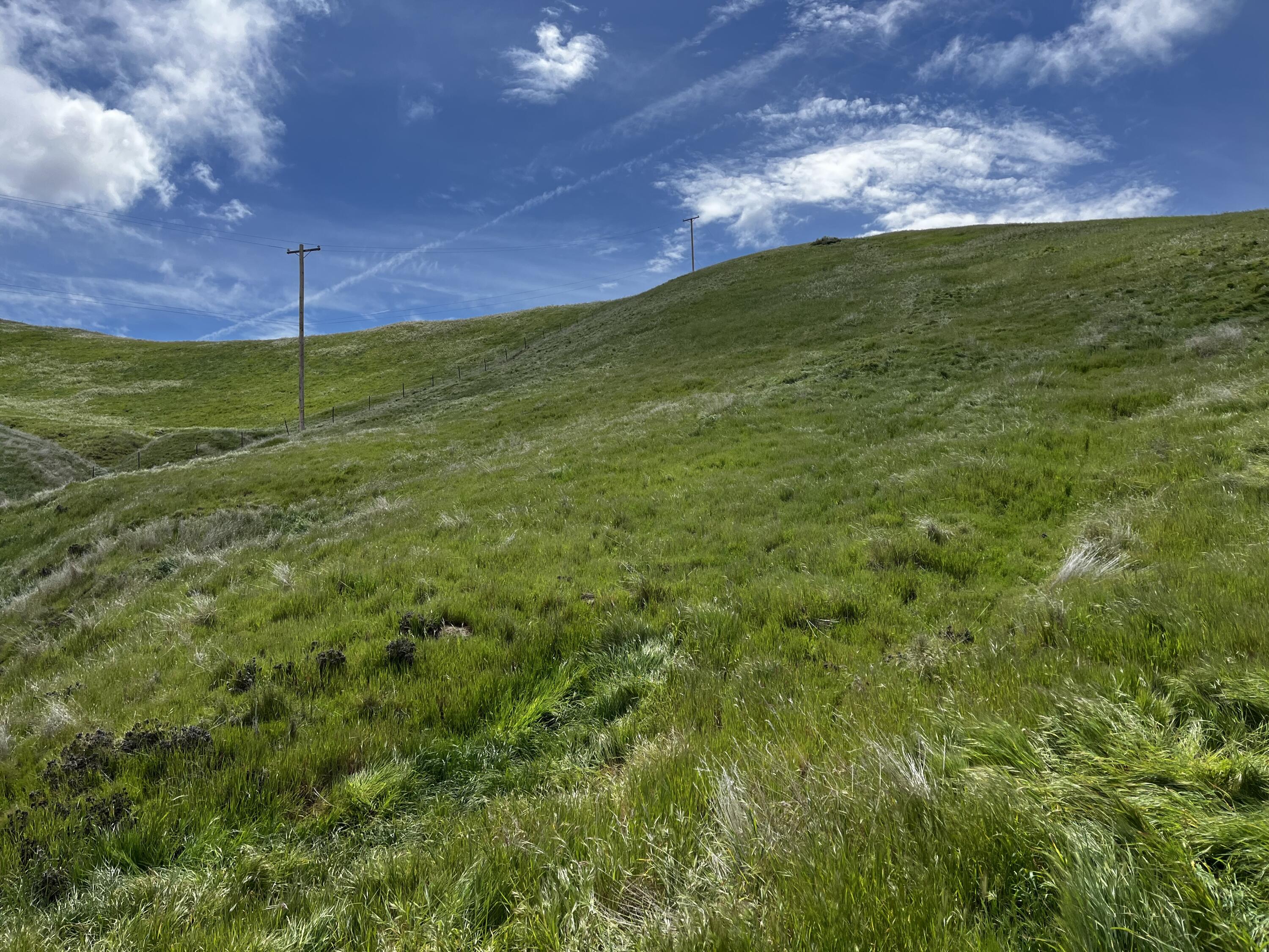 0 S Granite Rd, Bakersfield, CA 93308