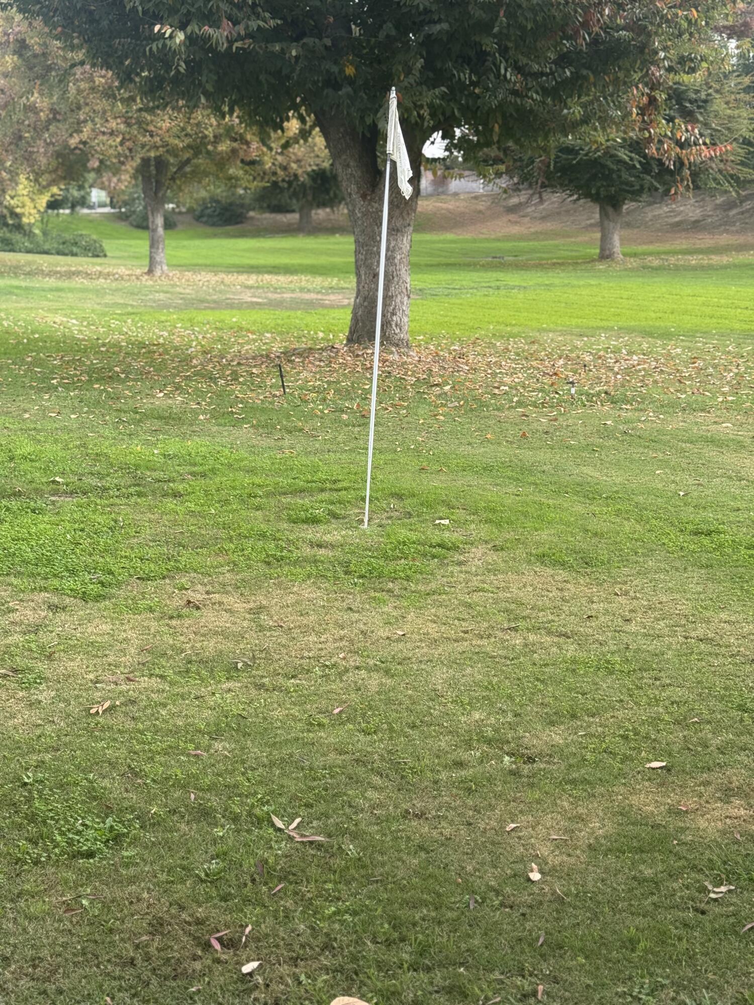 4603 S Verde Vista St, Visalia, CA 93277