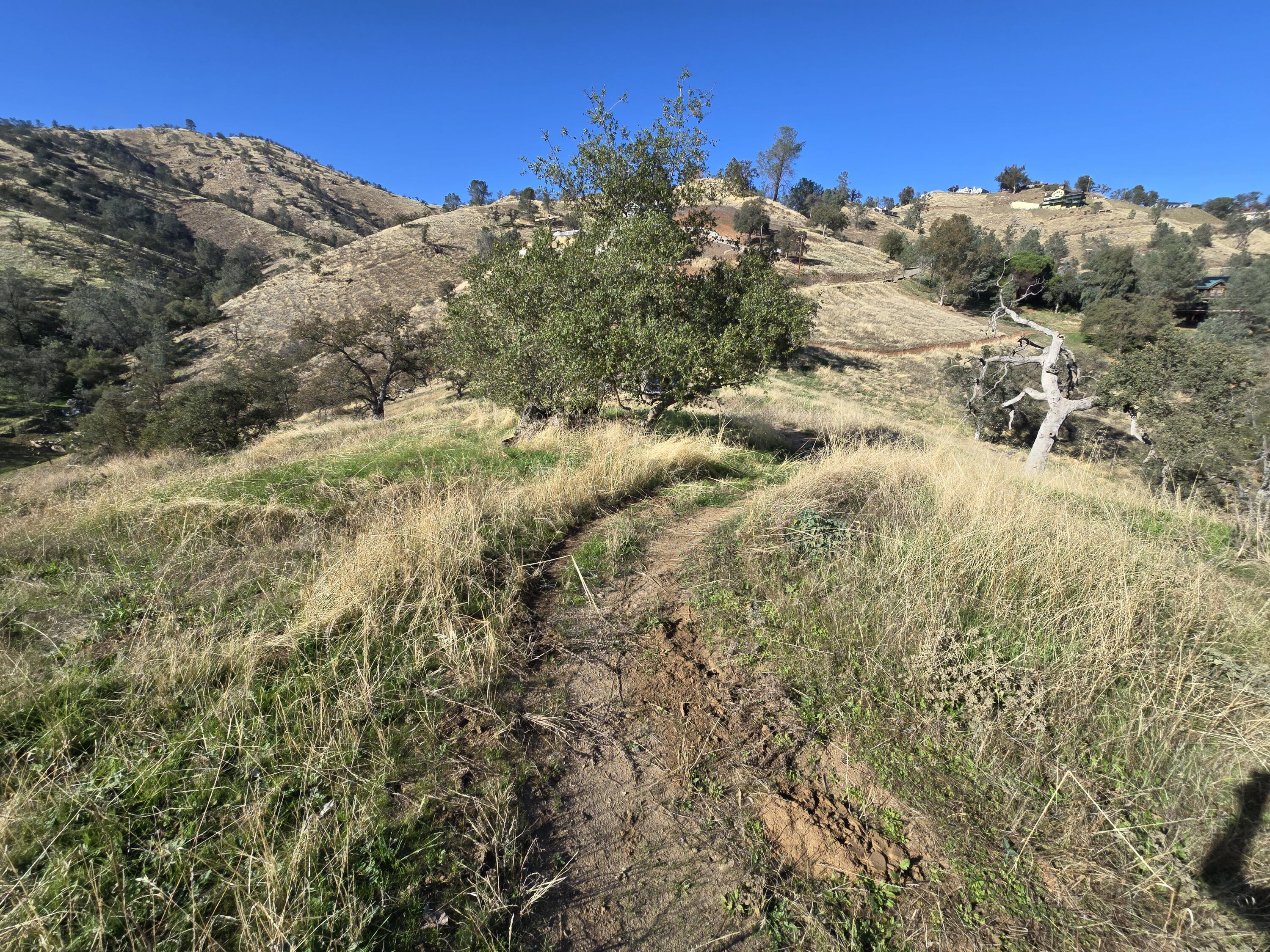 20600 Galileo Ct, Friant, CA 93626