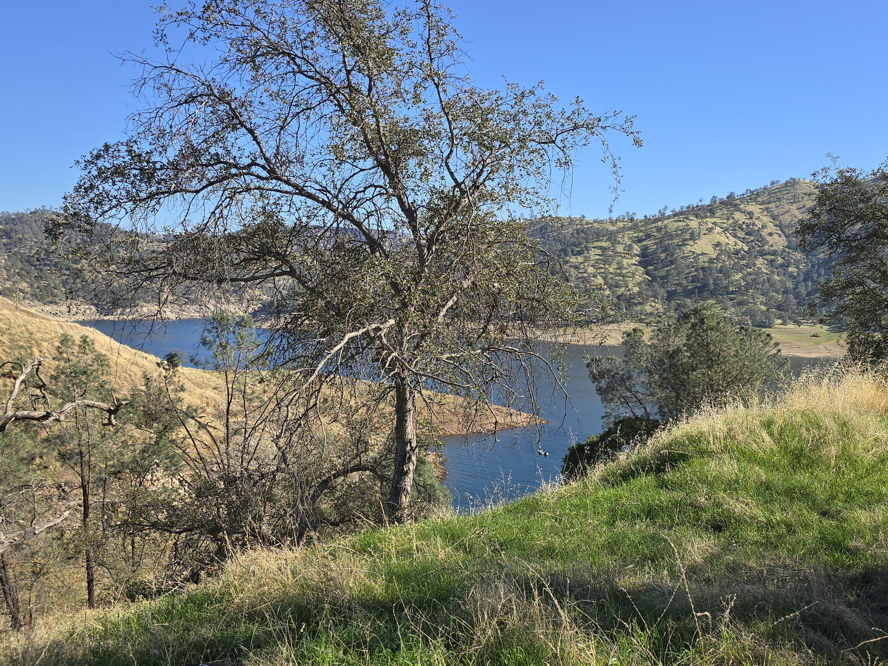 20600 Galileo Ct, Friant, CA 93626