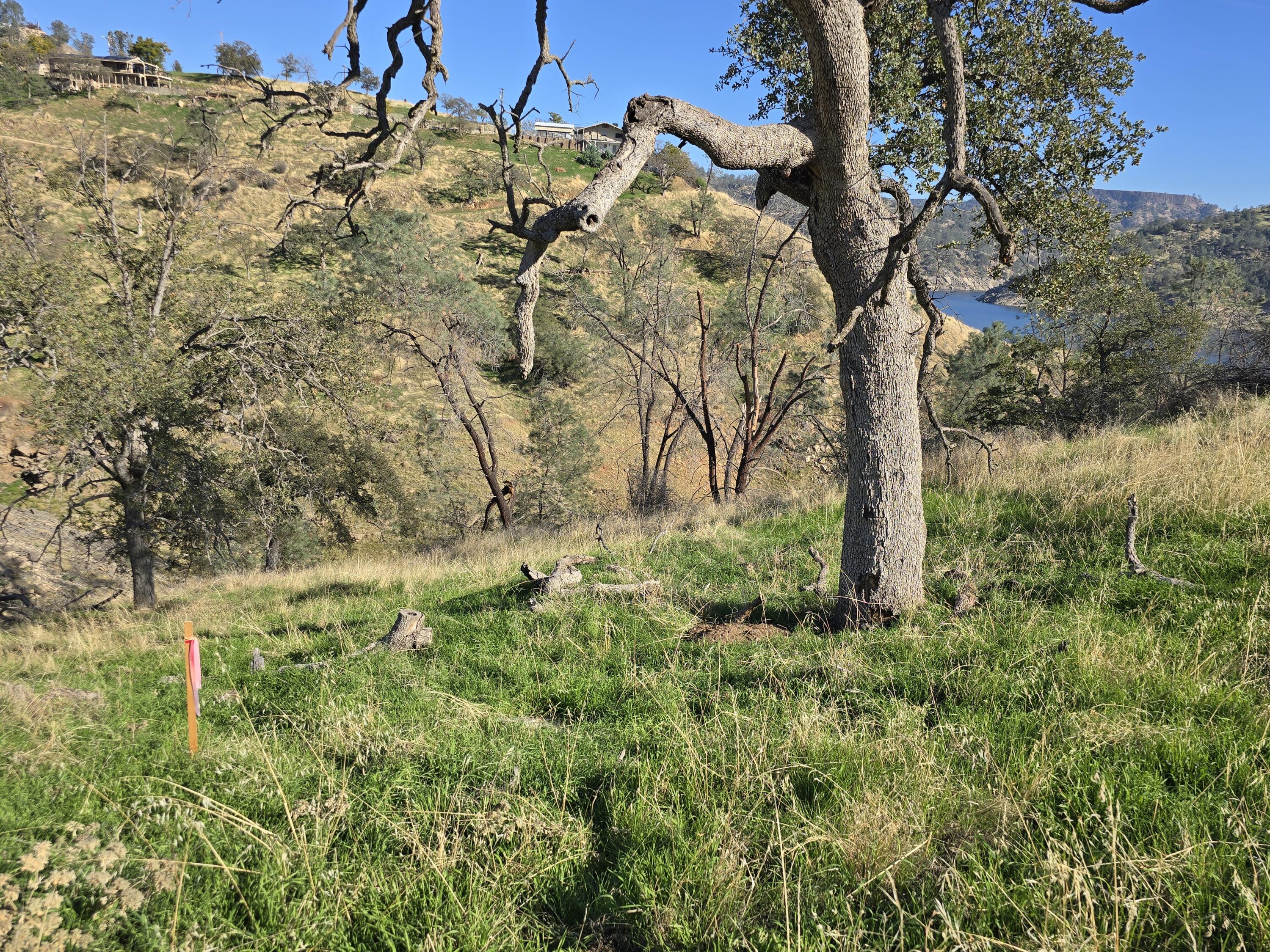 20600 Galileo Ct, Friant, CA 93626