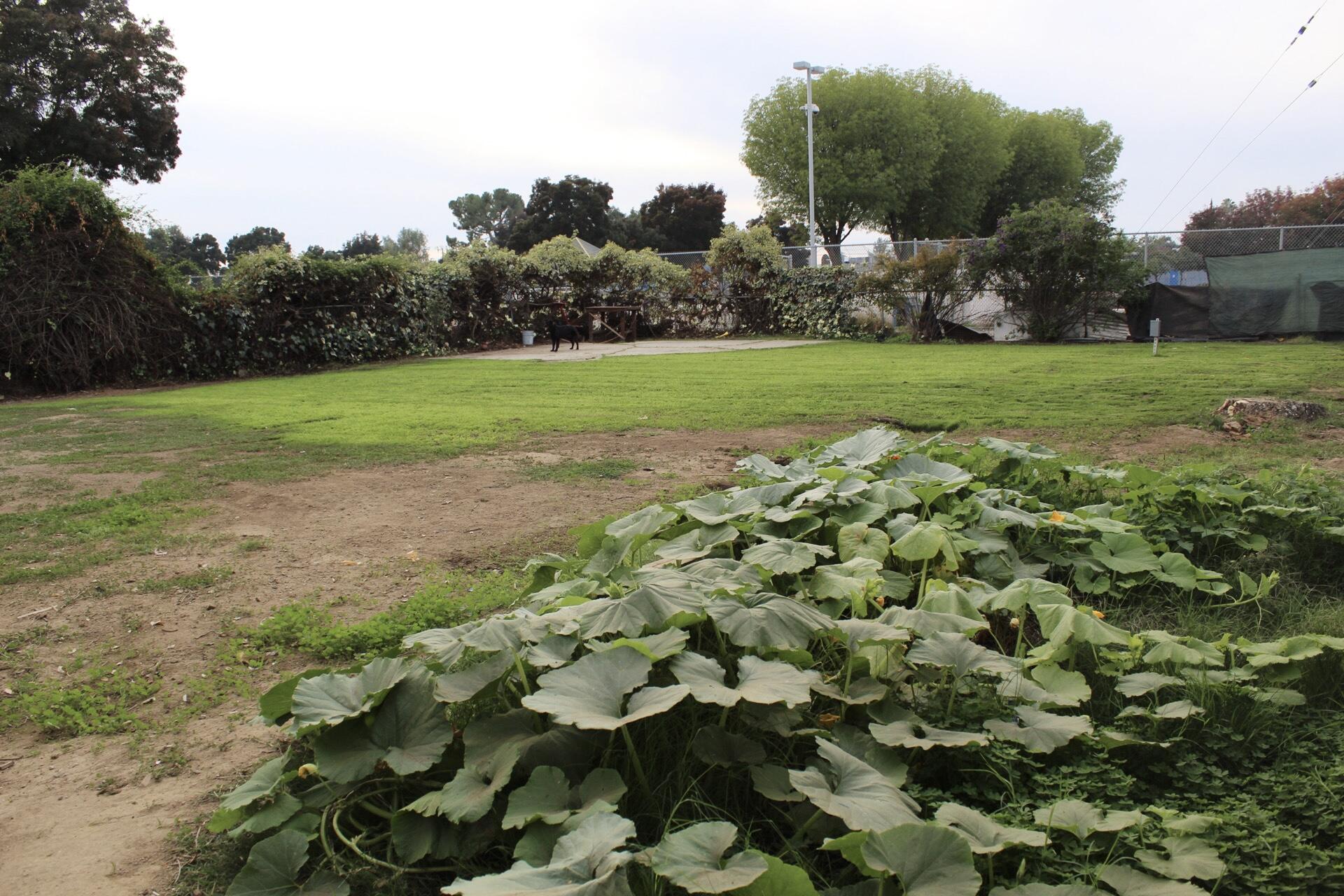 264 S Orange Ave, Exeter, CA 93221