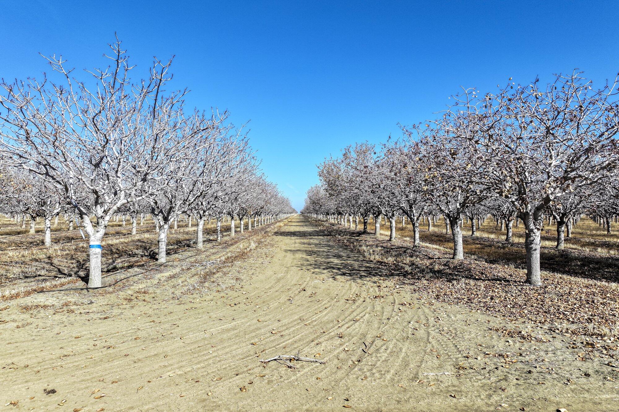 33571 W Adams Ave, Mendota, CA 93640