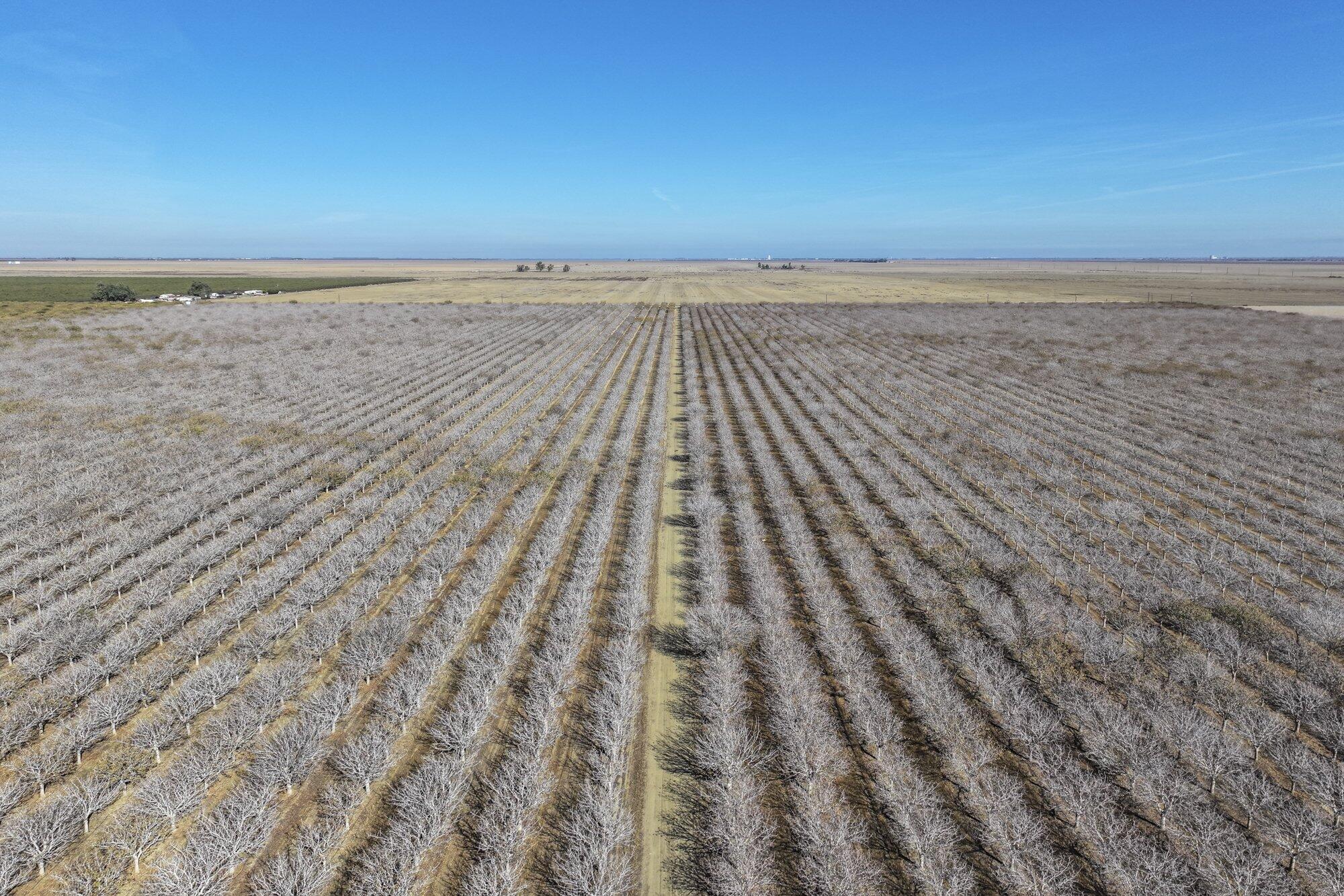 33571 W Adams Ave, Mendota, CA 93640