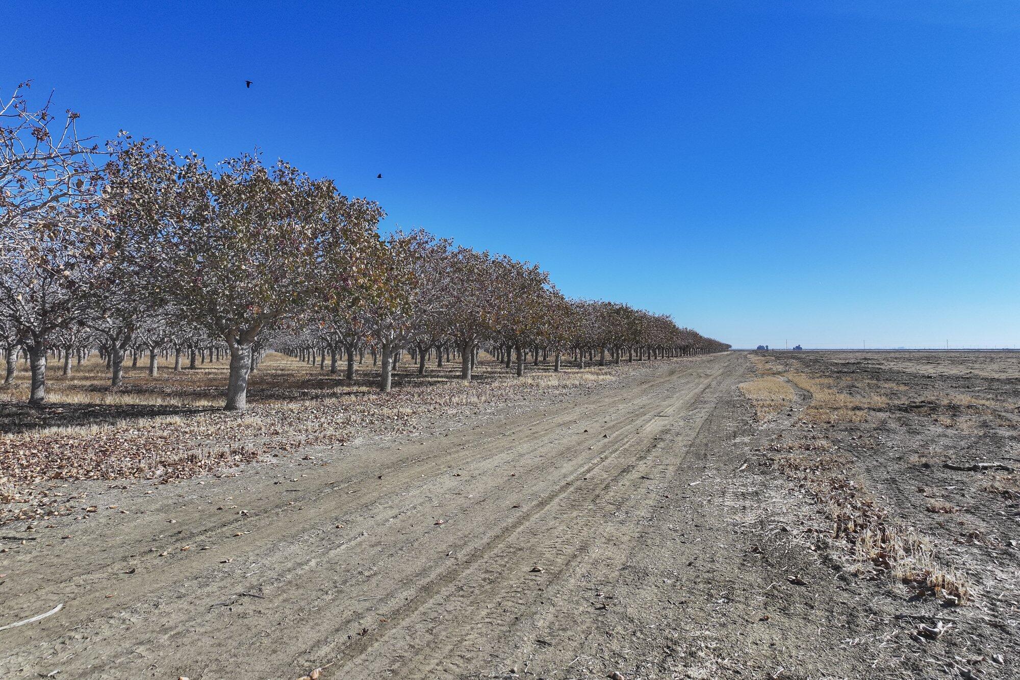 33571 W Adams Ave, Mendota, CA 93640