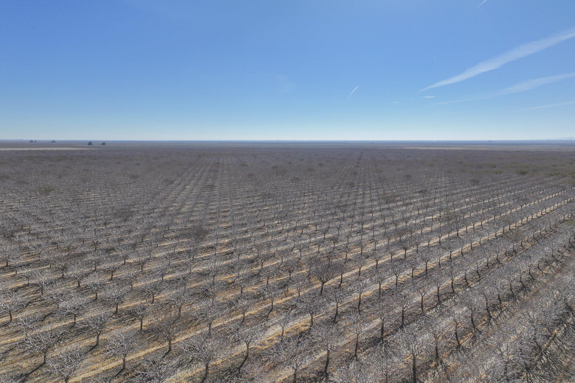 33571 W Adams Ave, Mendota, CA 93640