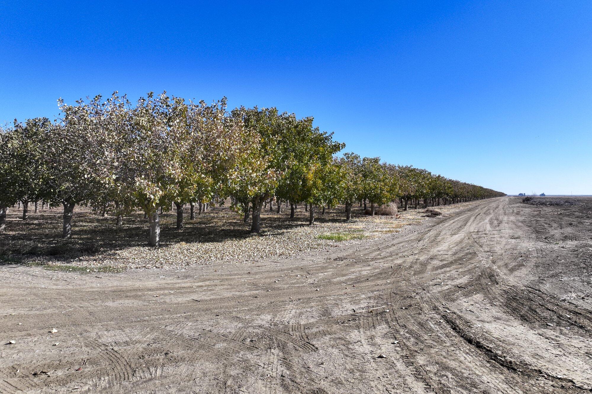 33571 W Adams Ave, Mendota, CA 93640