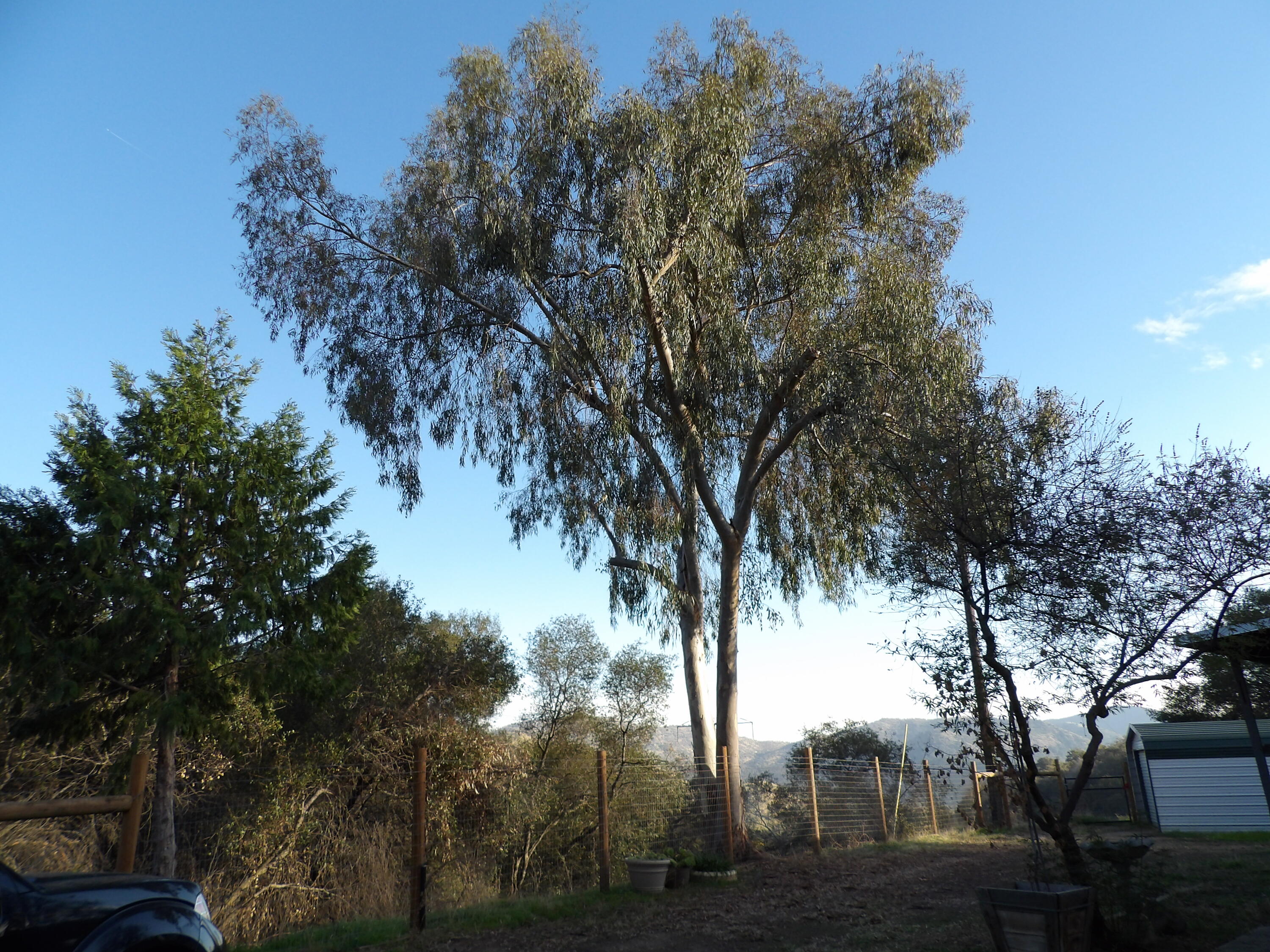 38967 Deerbrook Ln, Yokuts Valley, CA 93675