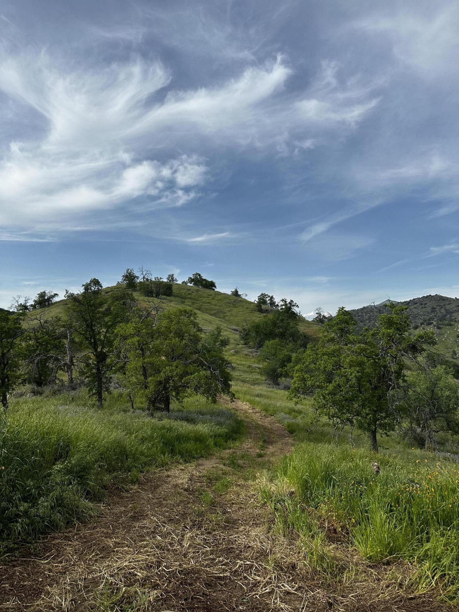 35312 George Smith Rd, Yokuts Valley, CA 93675