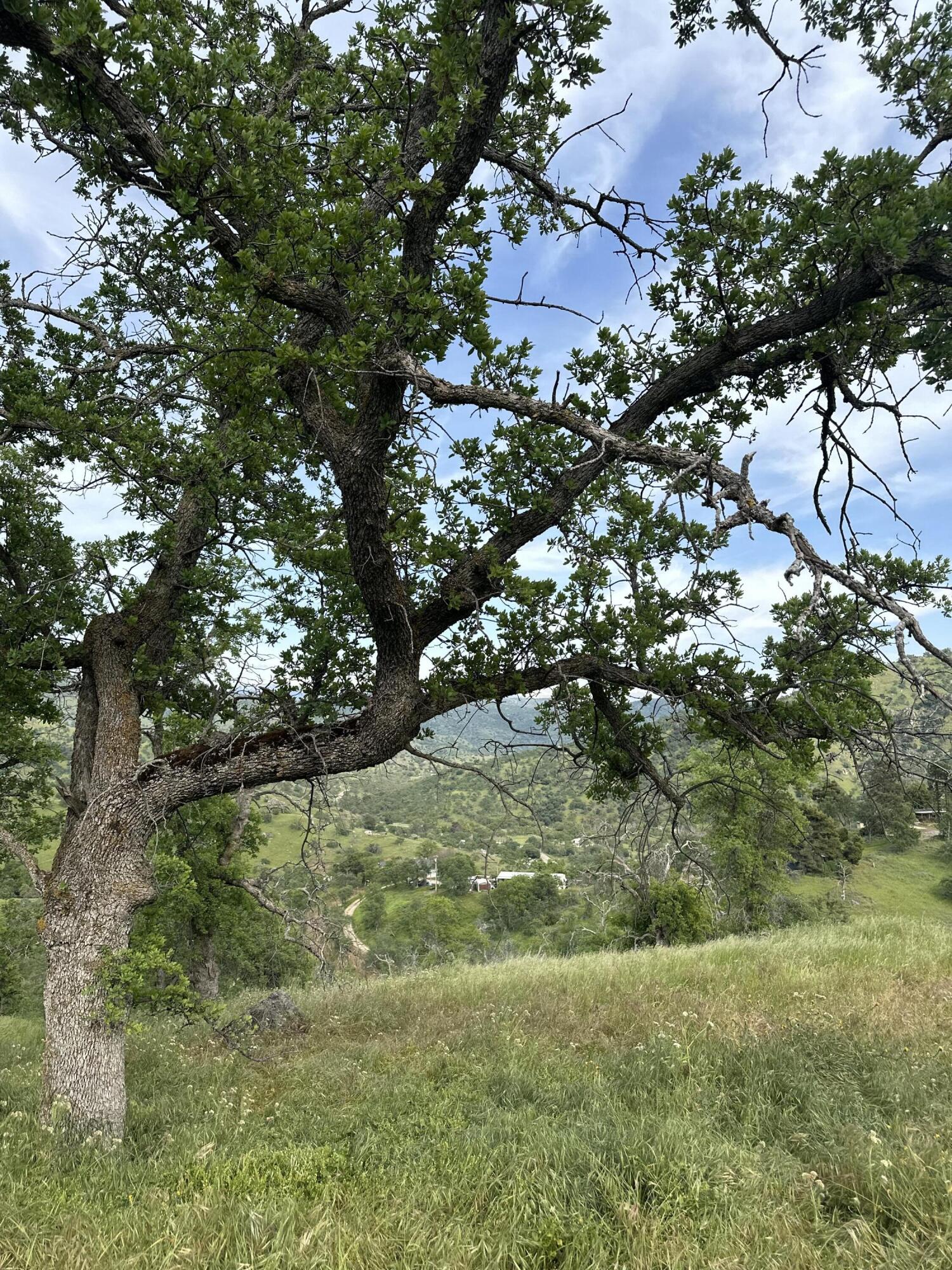 35312 George Smith Rd, Yokuts Valley, CA 93675