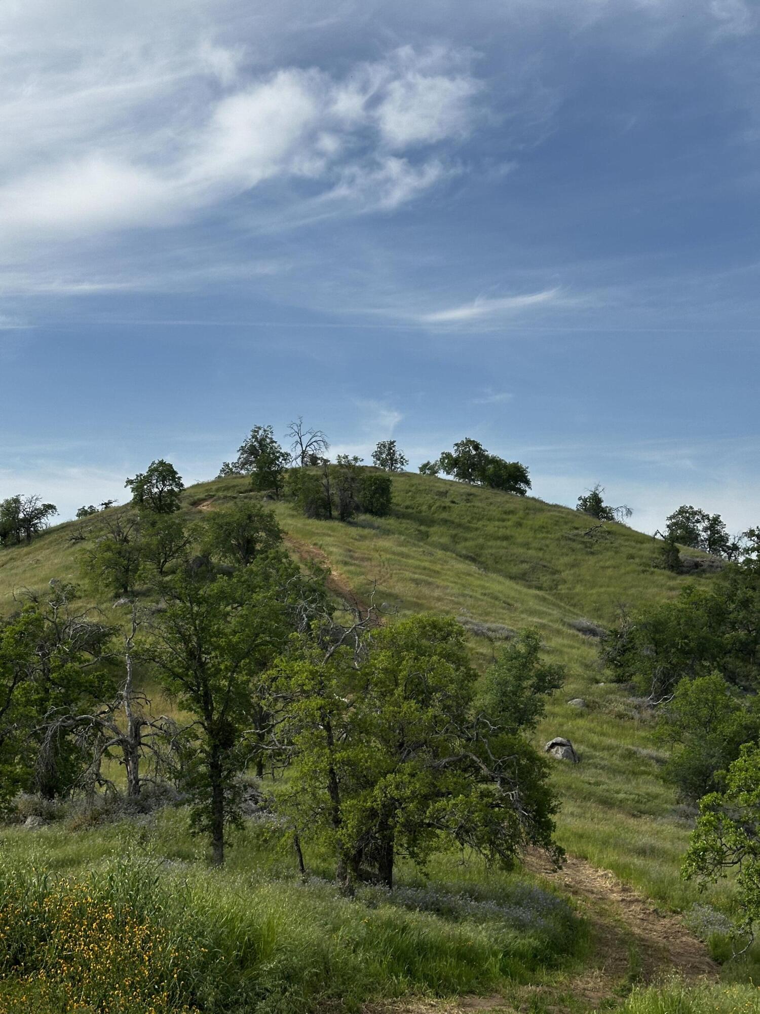 35312 George Smith Rd, Yokuts Valley, CA 93675