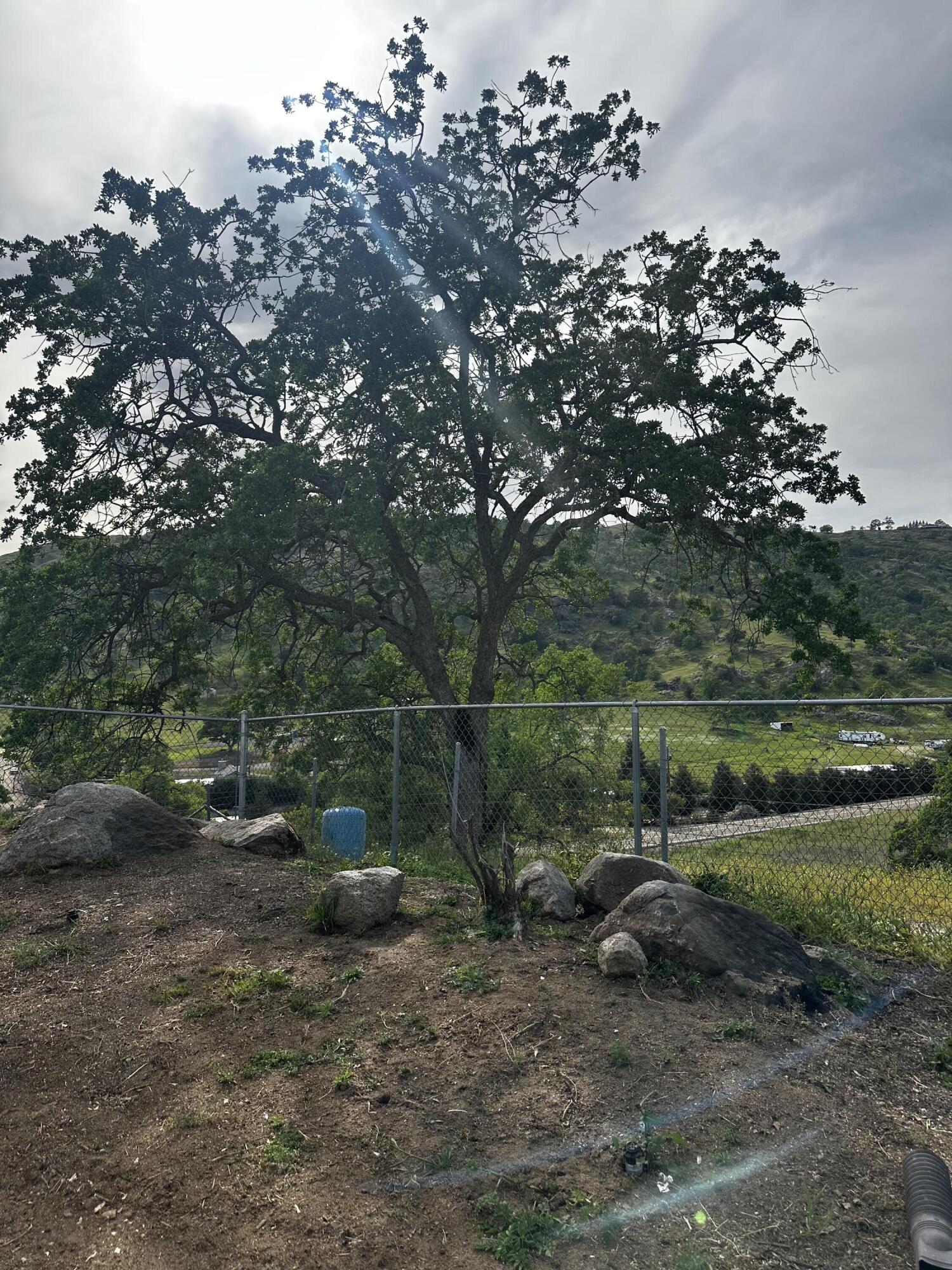 35312 George Smith Rd, Yokuts Valley, CA 93675