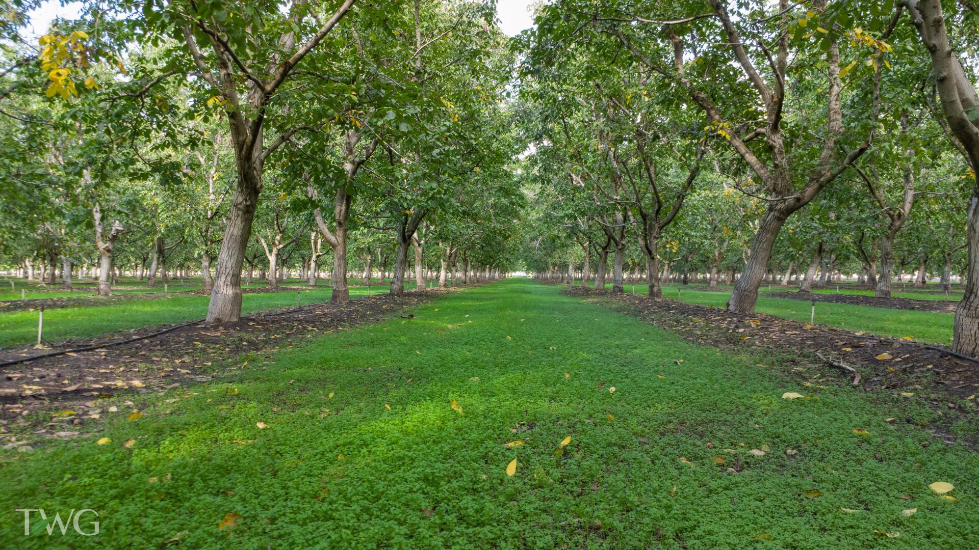 0 Ave 252, Tulare, CA 93274