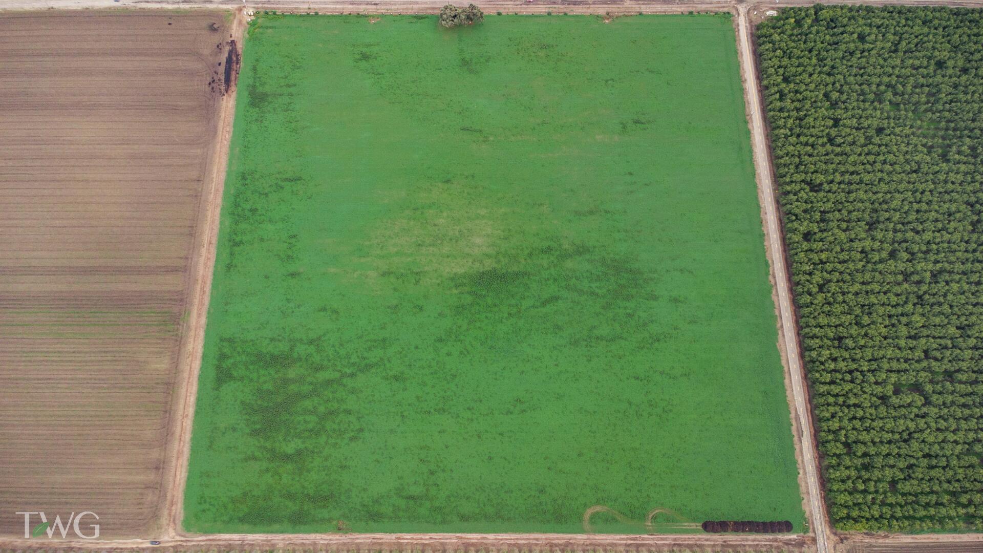 0 Ave 252, Tulare, CA 93274