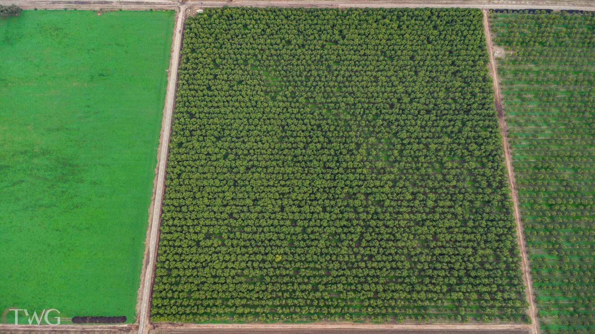 0 Ave 252, Tulare, CA 93274