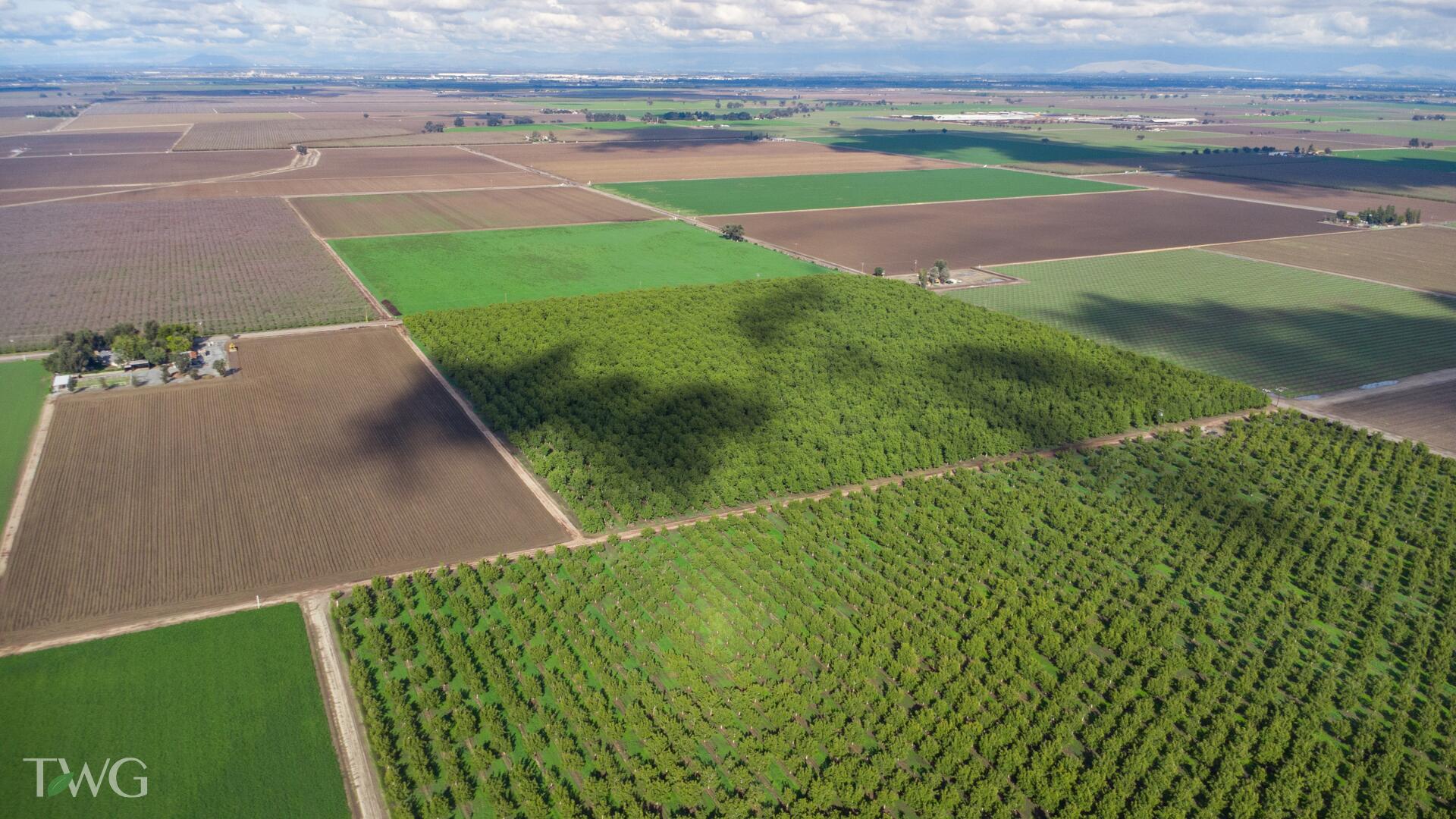 0 Ave 252, Tulare, CA 93274