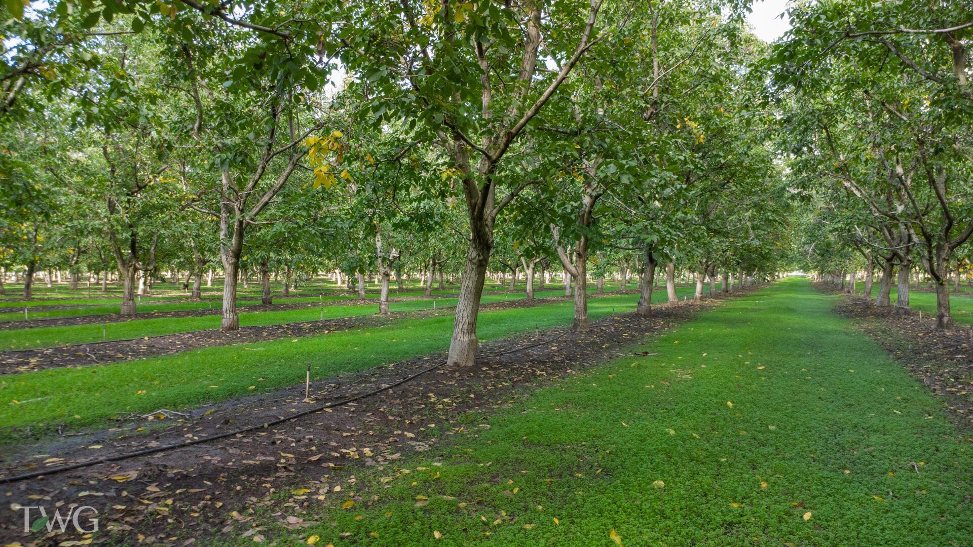 0 Ave 252, Tulare, CA 93274