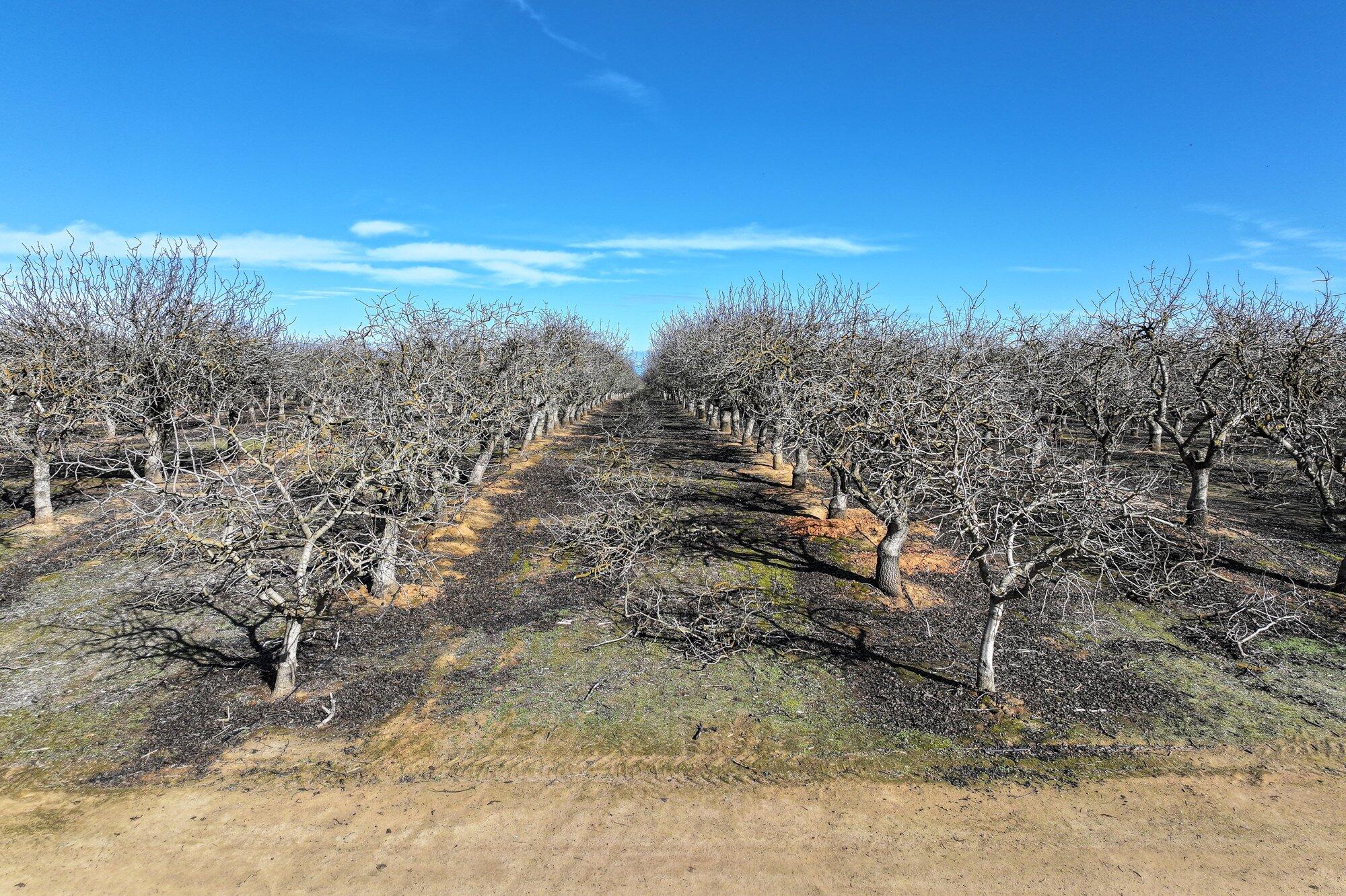 0 Ave 20, Madera, CA 93638