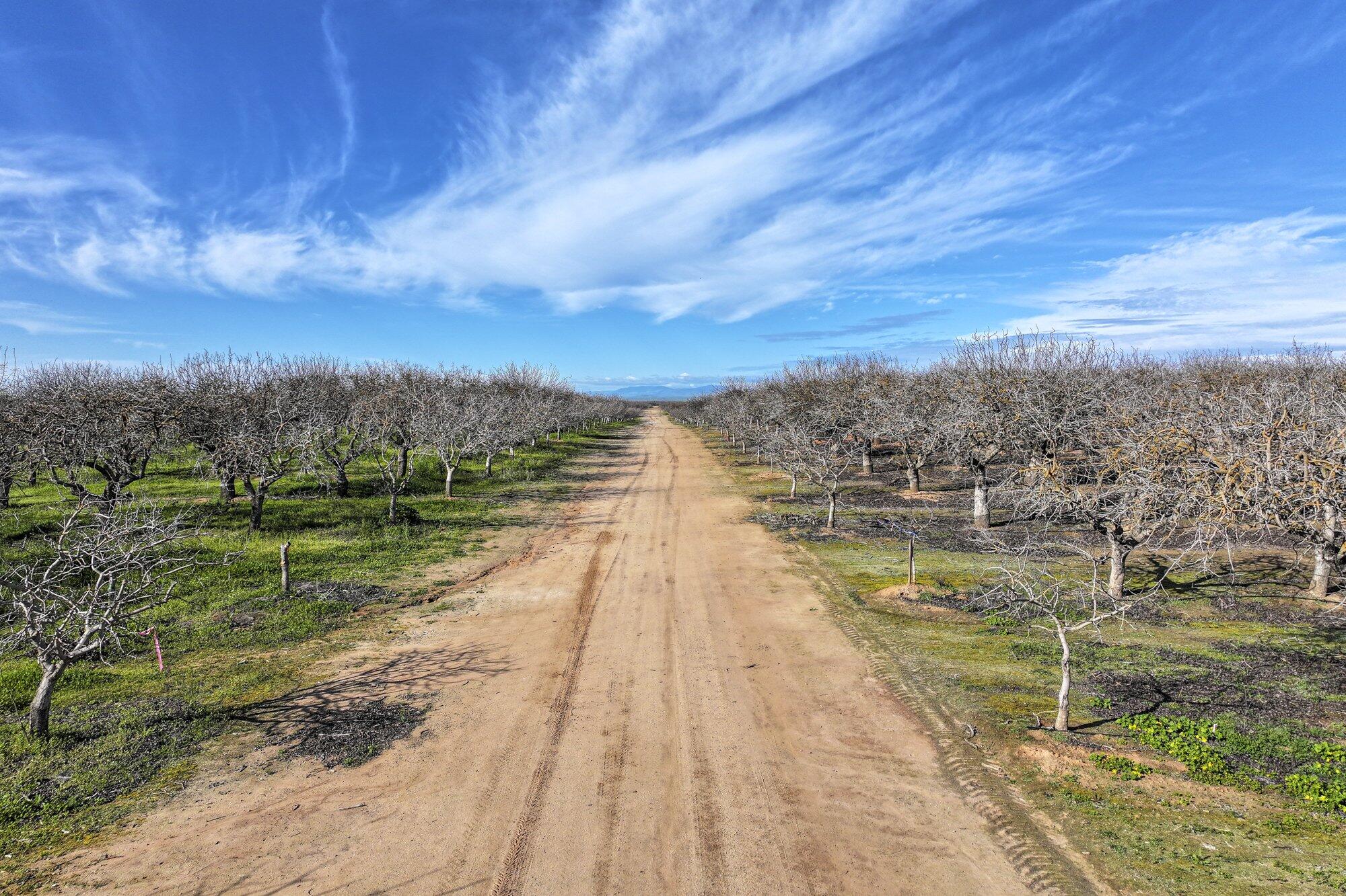 0 Ave 20, Madera, CA 93638