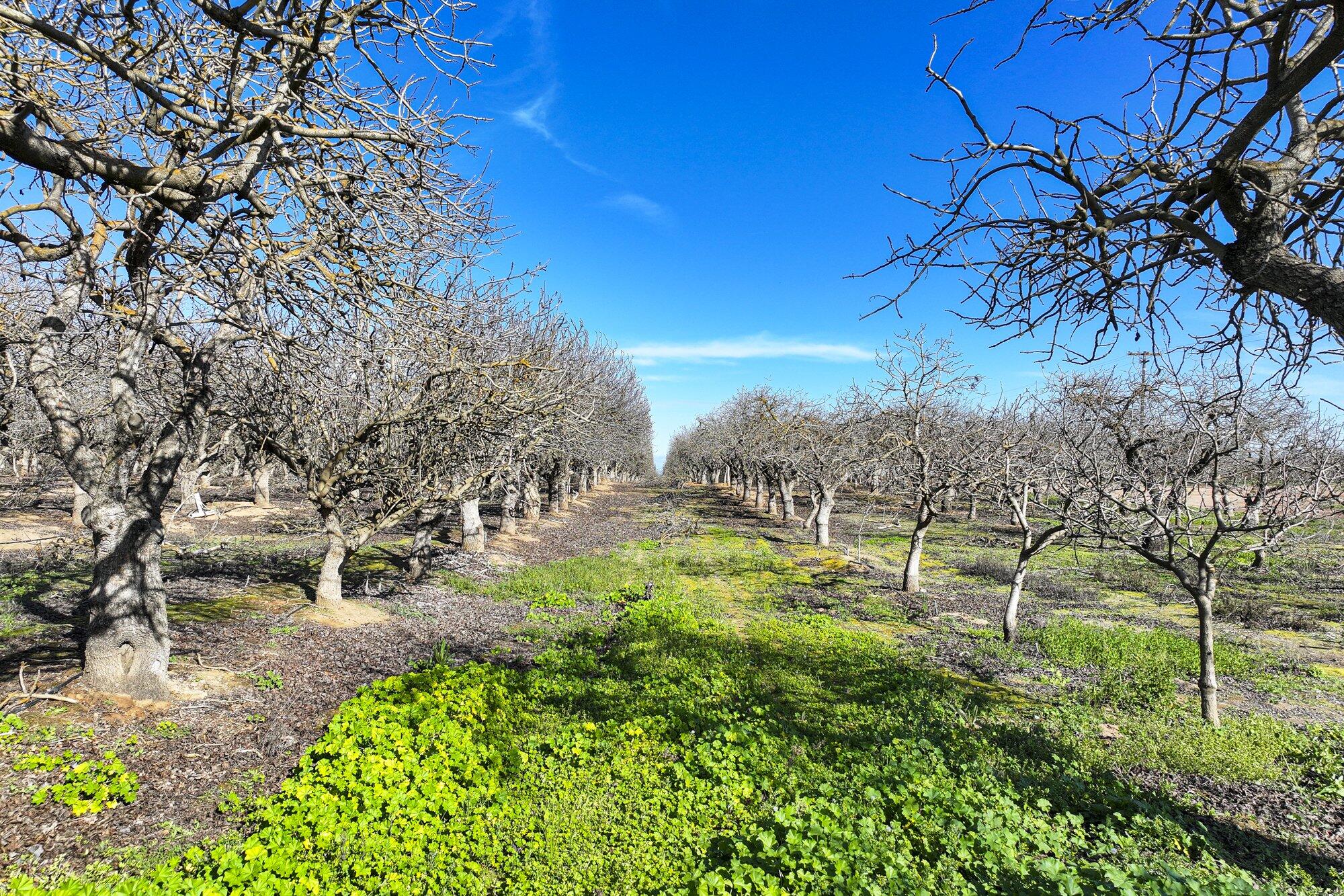 0 Ave 20, Madera, CA 93638